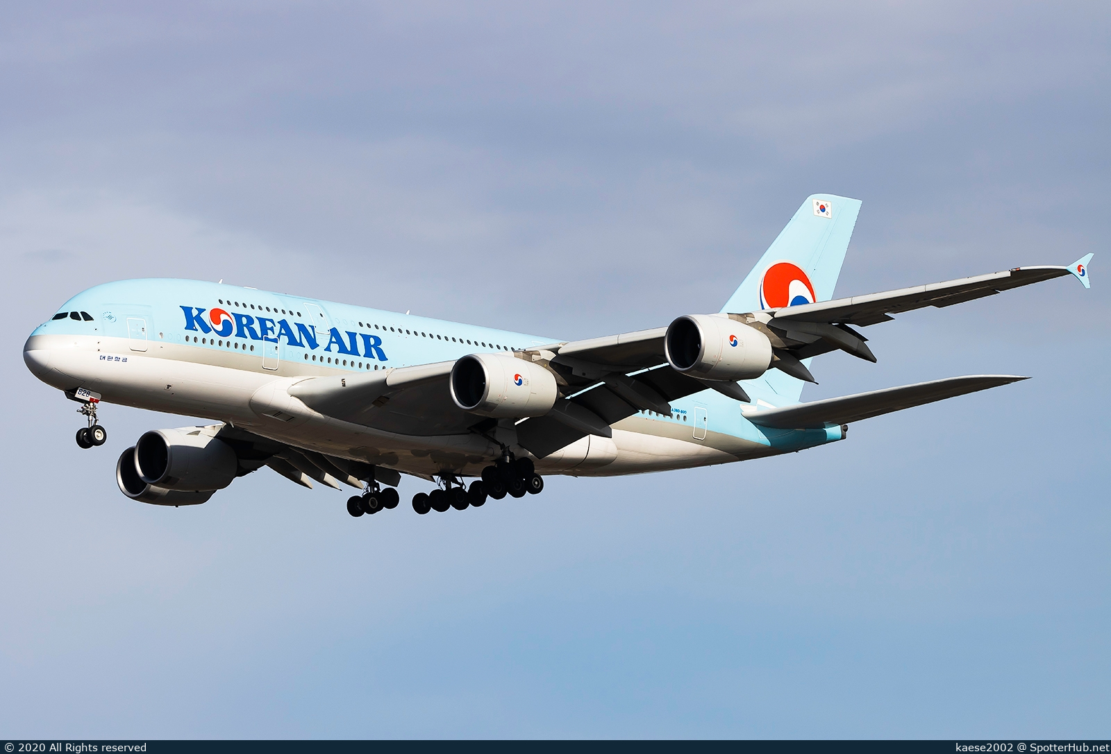 Full size image