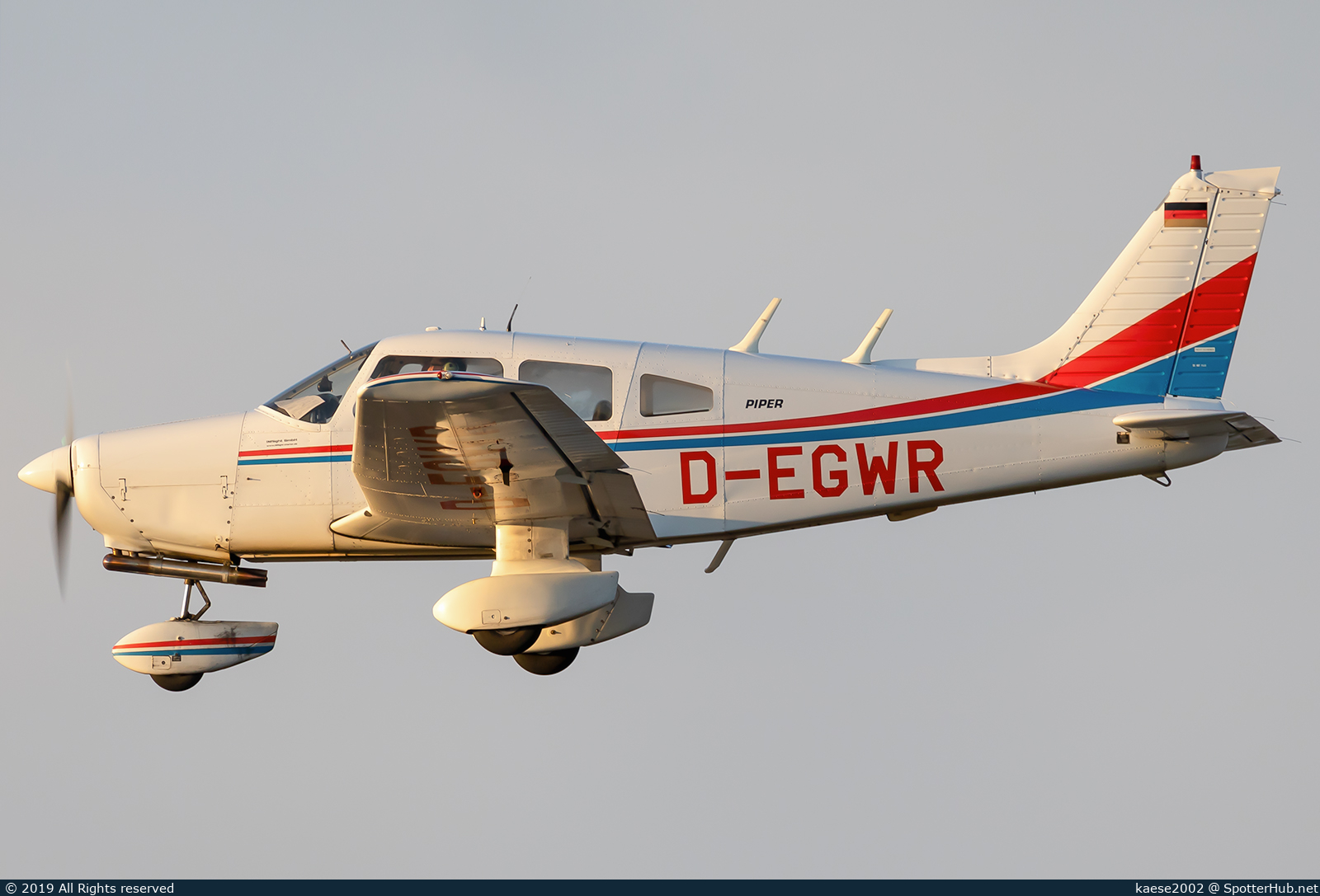 Full size image