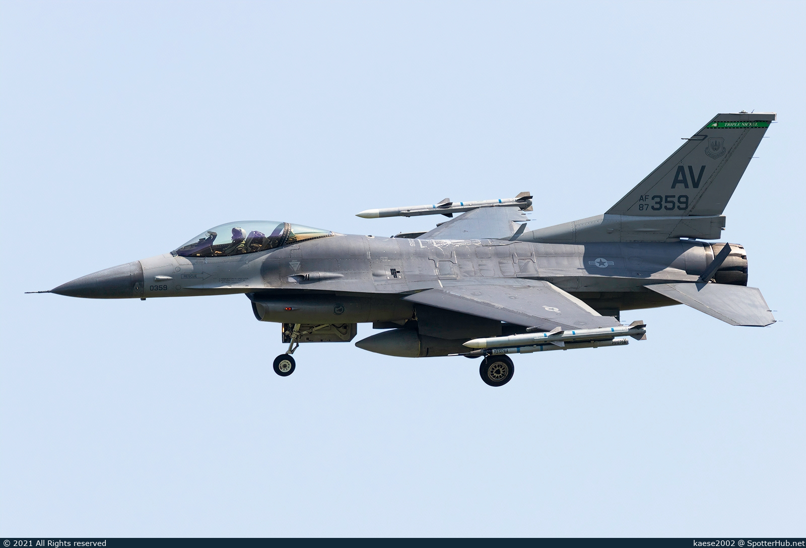 Full size image