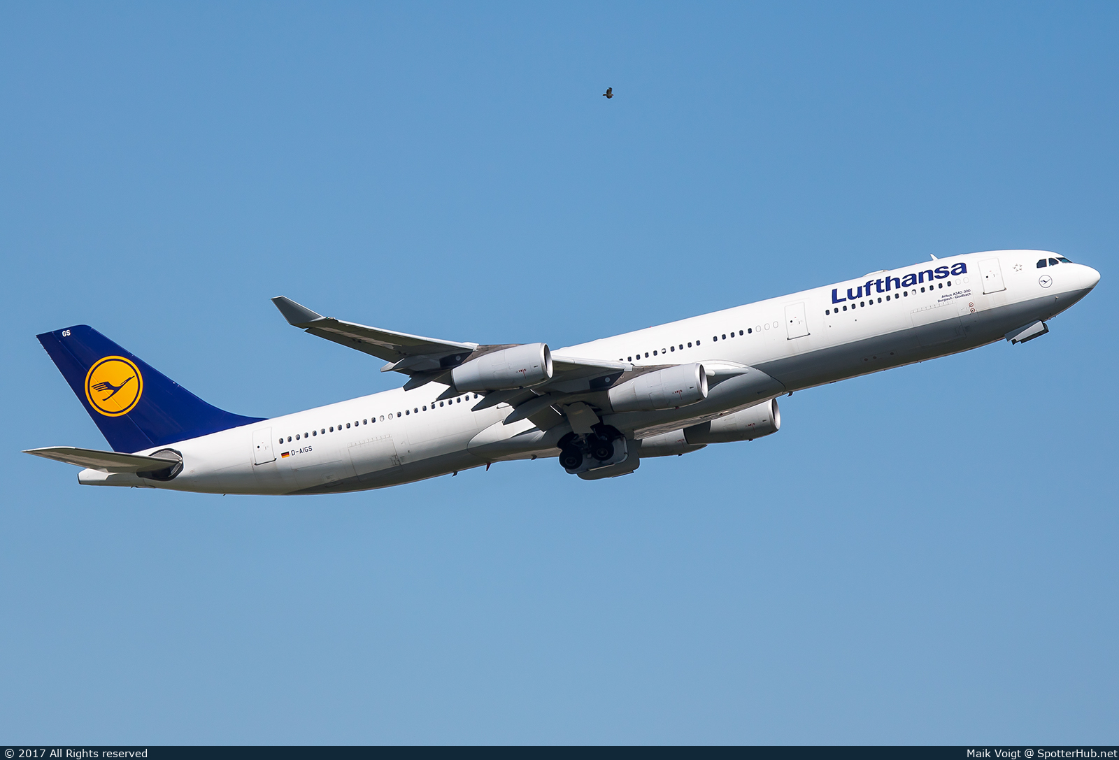 Photo of D-AIGS - Airbus A340-313 operated by Lufthansa