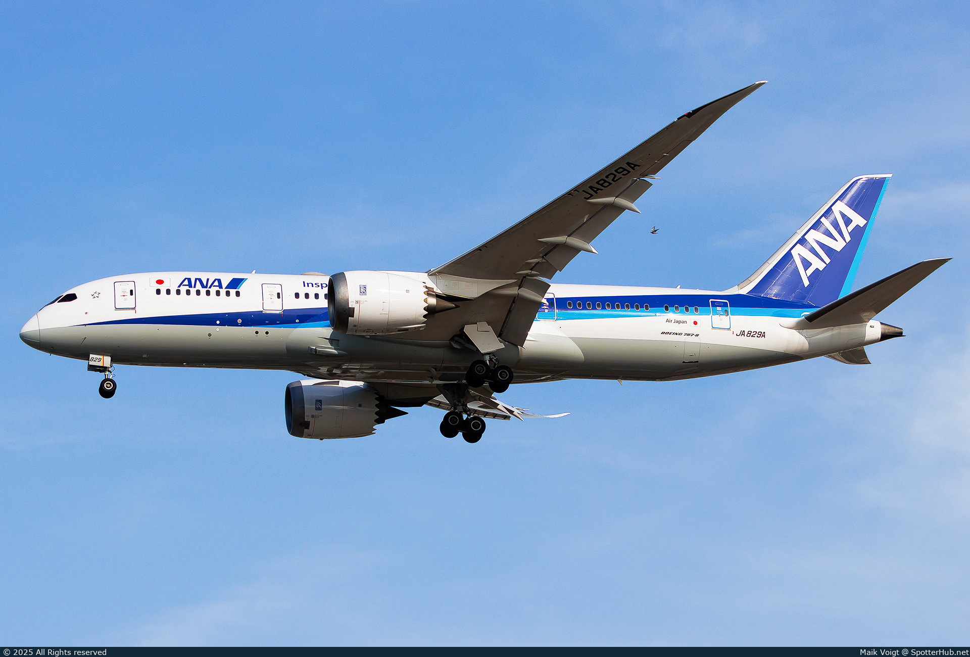 Photo of JA829A - Boeing 787-8 Dreamliner operated by ANA All Nippon Airways (opb Air Japan)