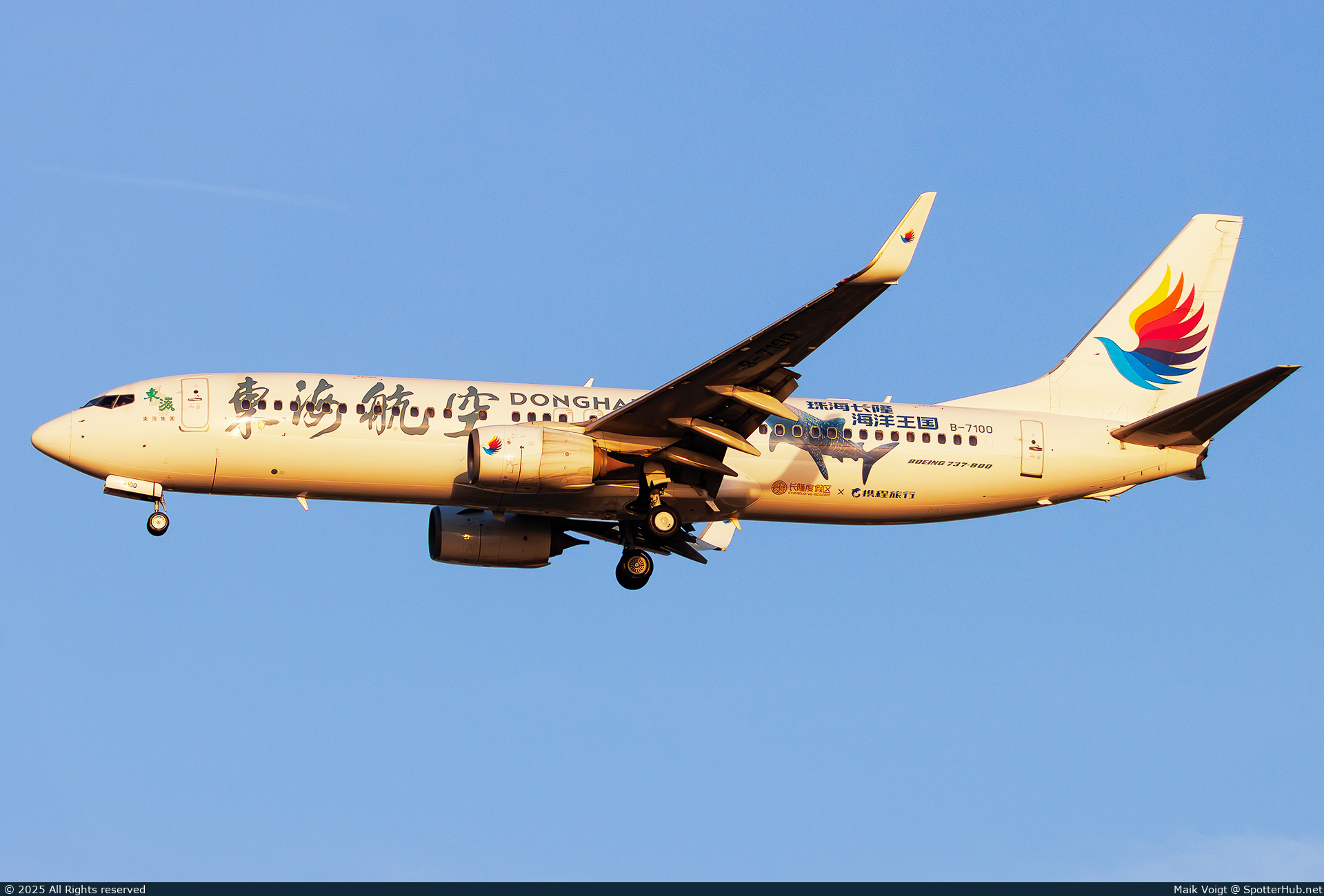 Photo of B-7100 - Boeing 737-8Q8 operated by Donghai Airlines