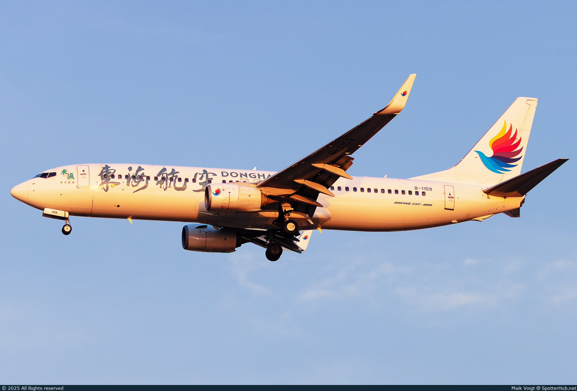 Photo of B-1159 - Boeing 737-83Z operated by Donghai Airlines