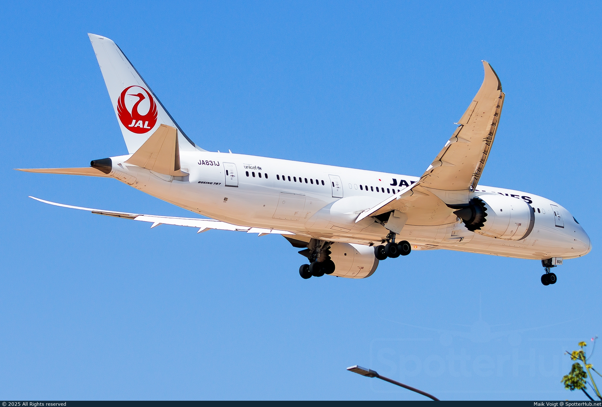Photo of JA831J - Boeing 787-8 Dreamliner operated by Japan Airlines