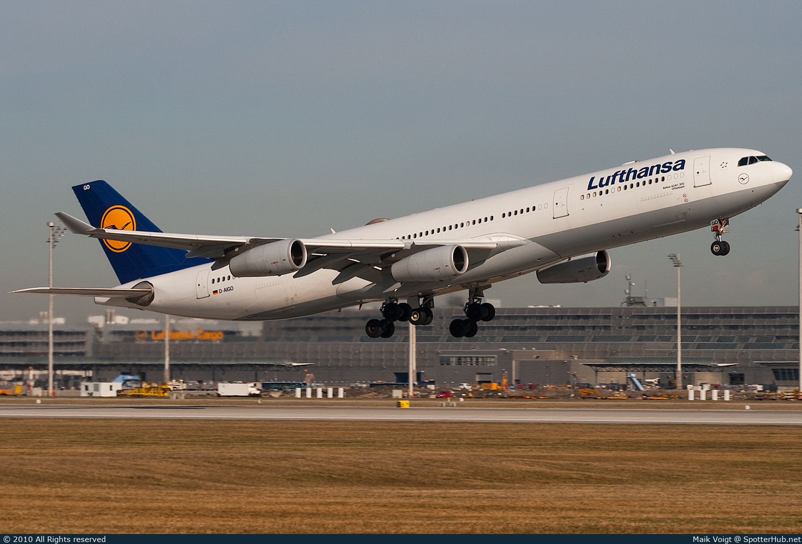Photo of D-AIGO - Airbus A340-313 operated by Lufthansa