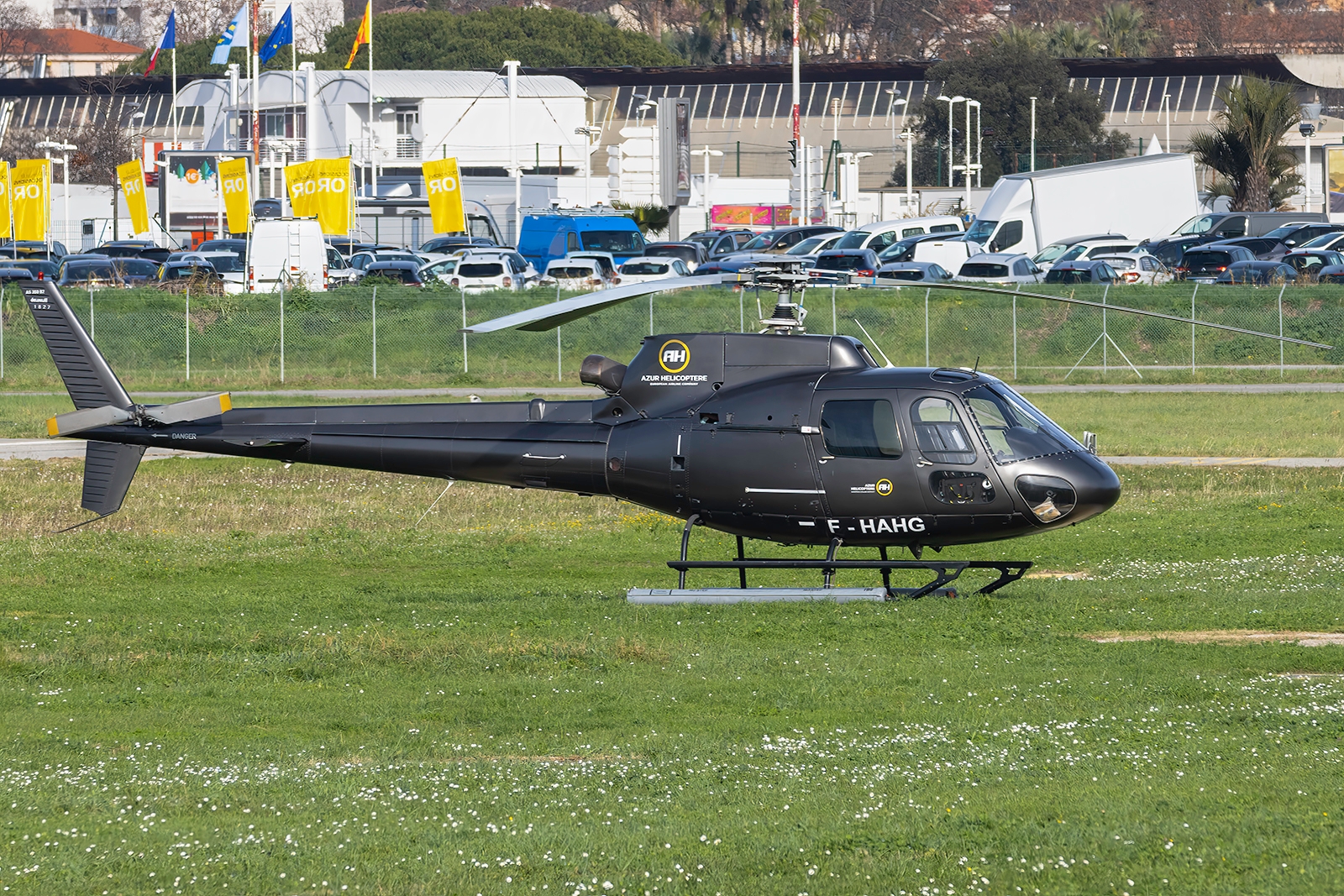 Full size image