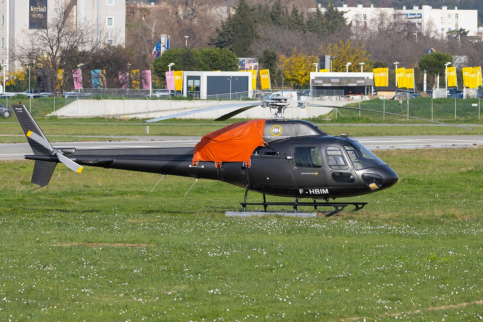 Full size image