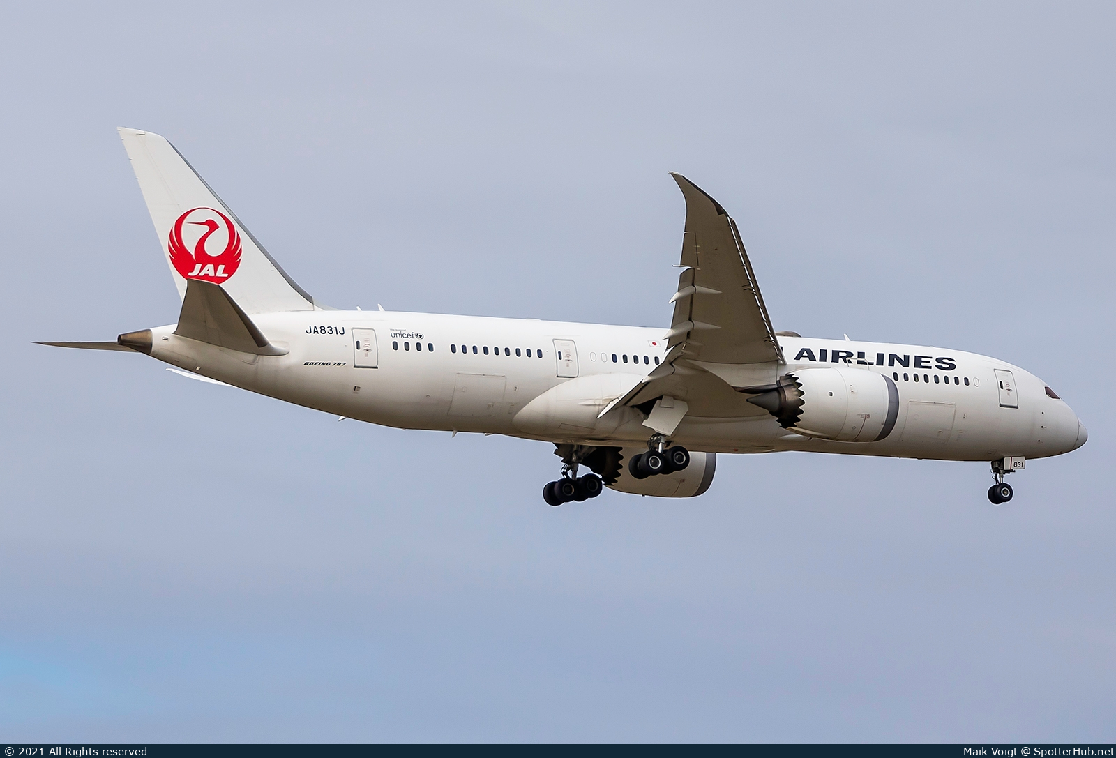 Photo of JA831J - Boeing 787-8 Dreamliner operated by Japan Airlines