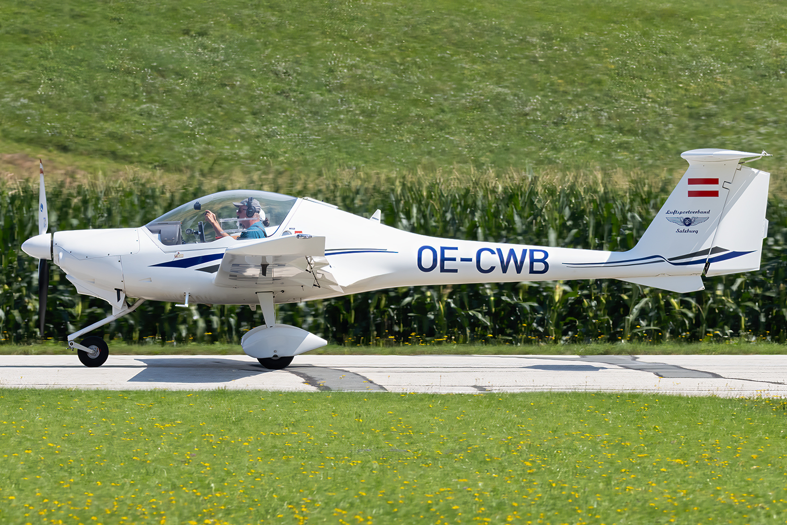 Full size image