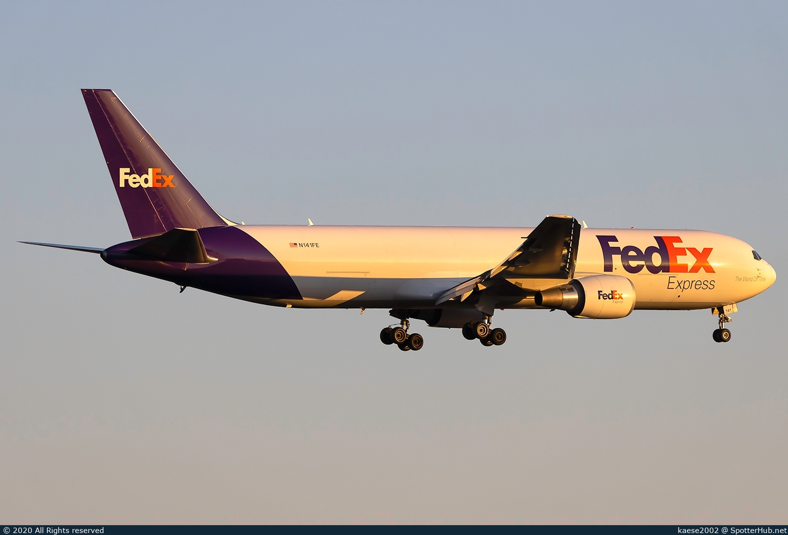 Full size image
