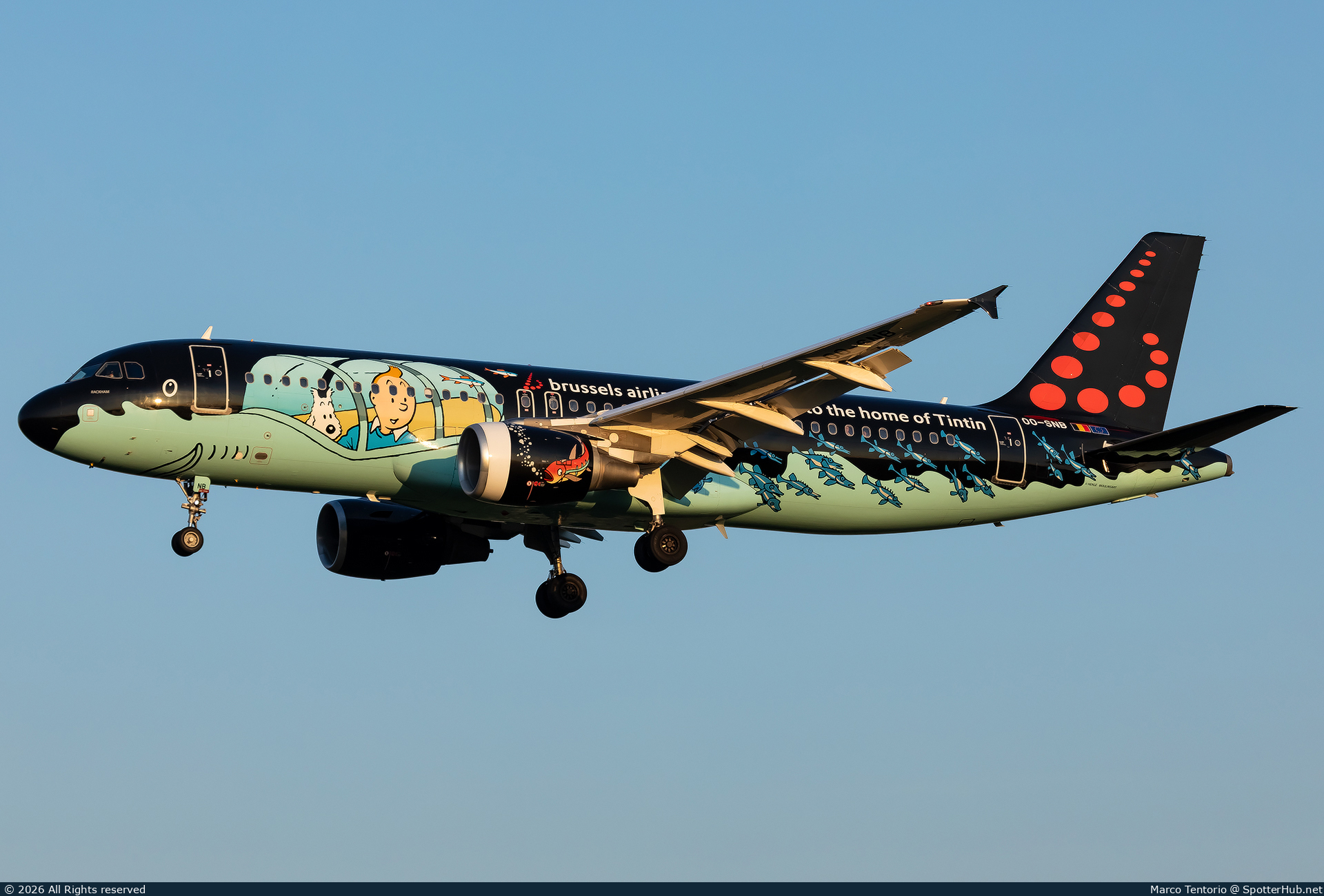 Photo of OO-SNB - Airbus A320-214 operated by Brussels Airlines