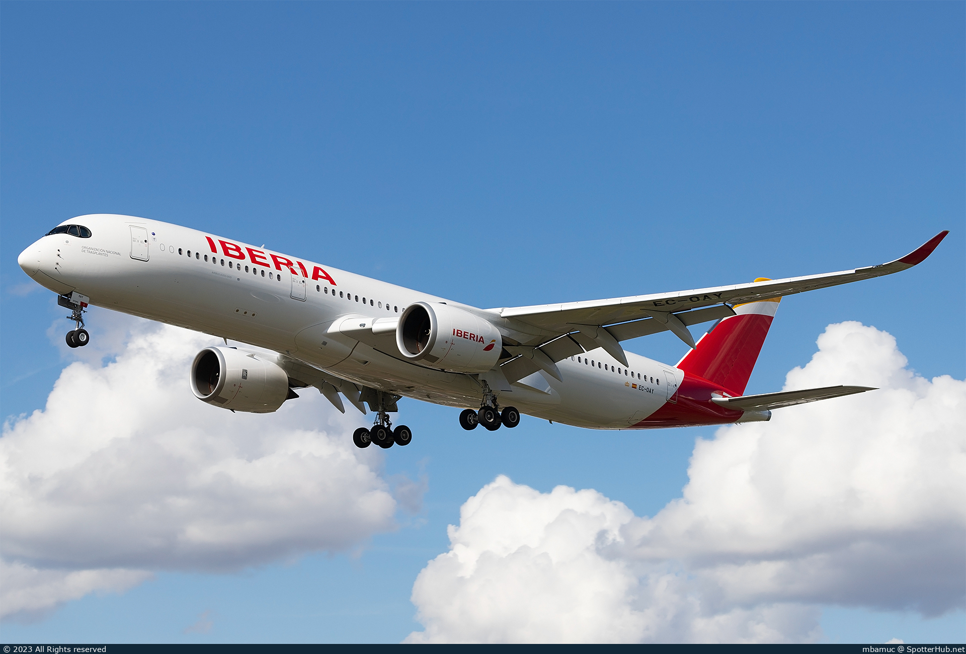 Photo of EC-OAY - Airbus A350-941 operated by Iberia