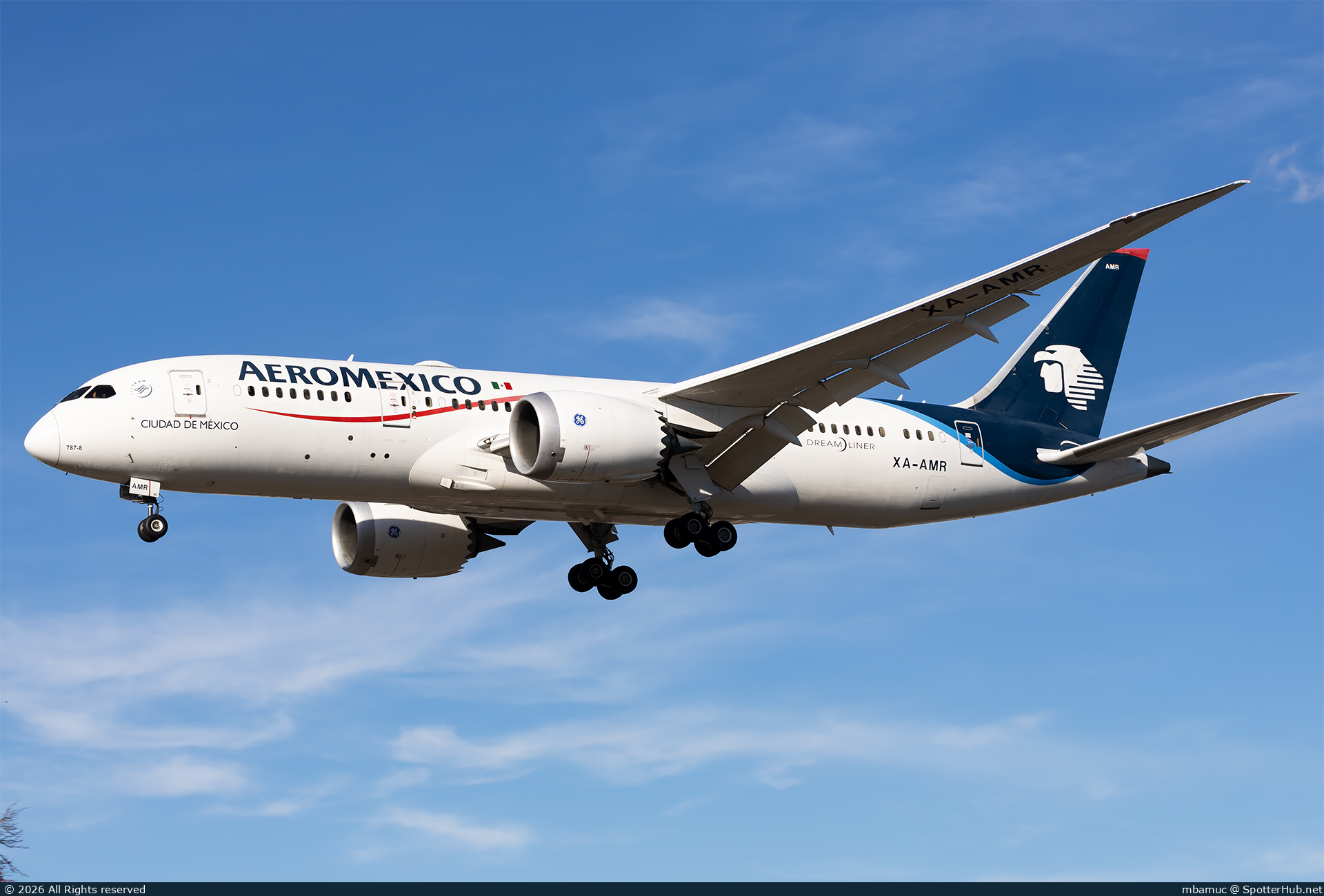 Photo of XA-AMR - Boeing 787-8 Dreamliner operated by Aeroméxico