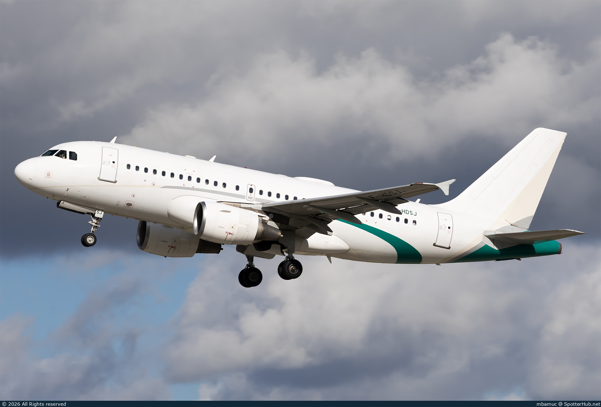 Photo of F-HDSJ - Airbus A319-112 operated by Amelia International