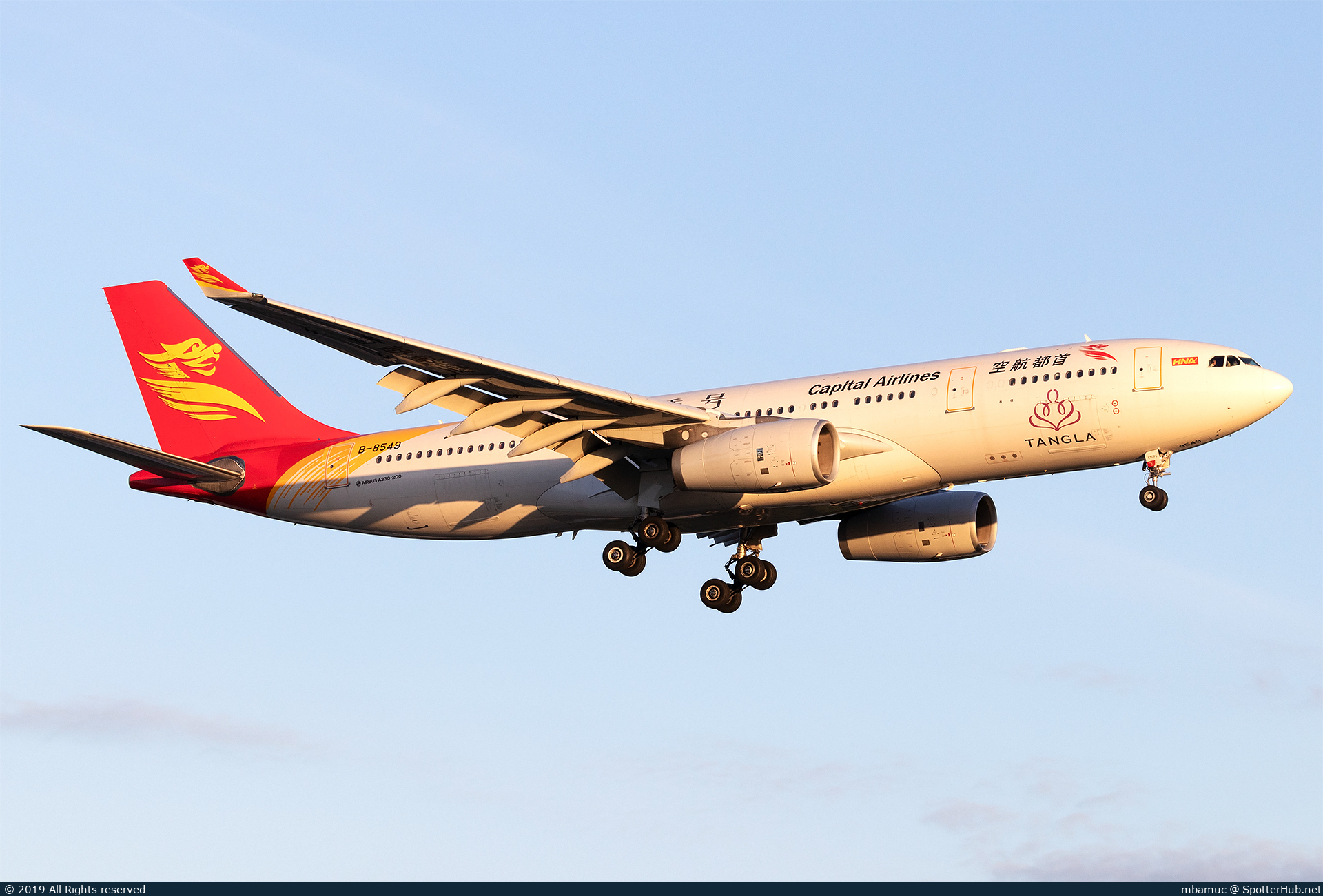 Photo of B-8549 - Airbus A330-243 operated by Capital Airlines