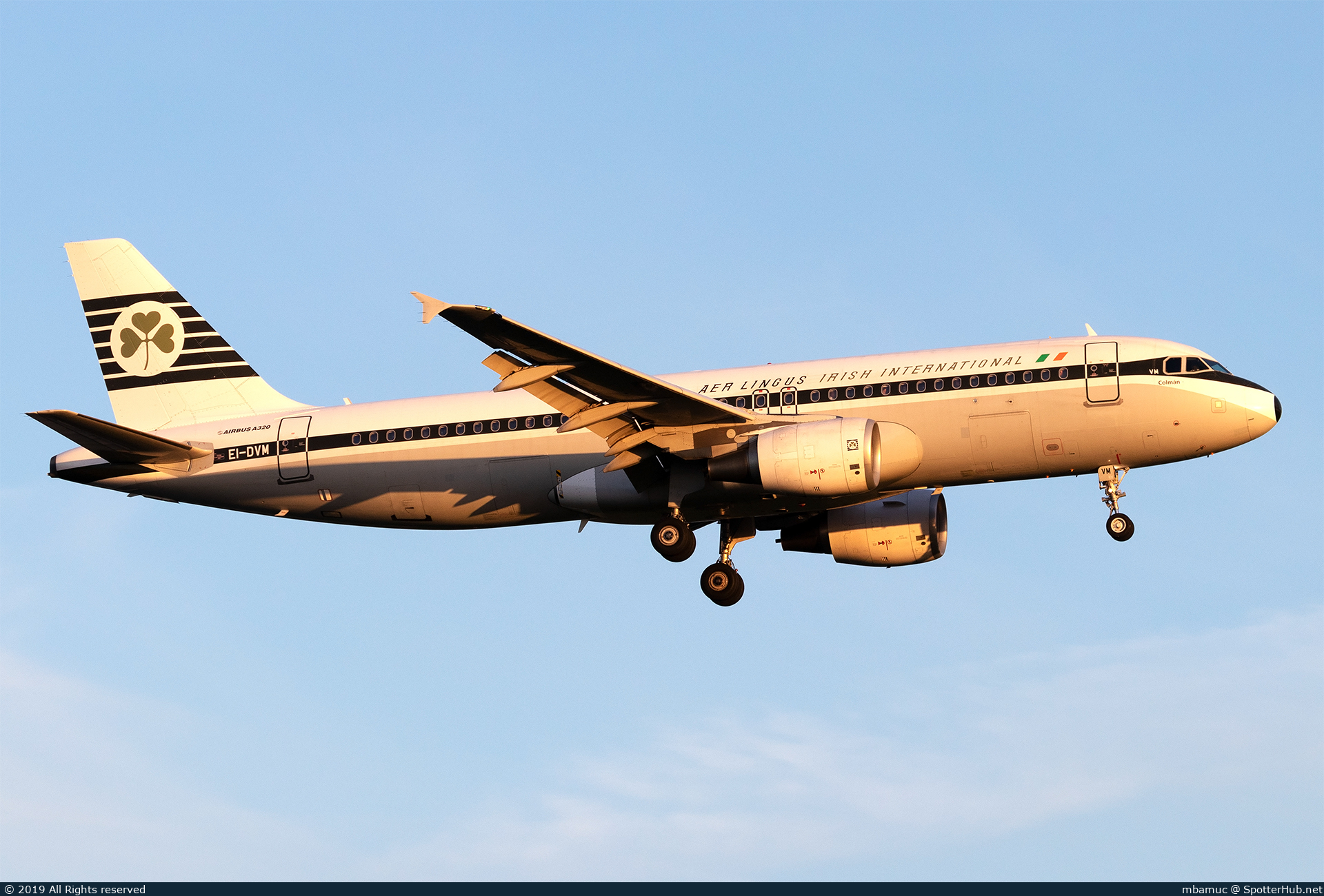 Photo of EI-DVM - Airbus A320-214 operated by Aer Lingus