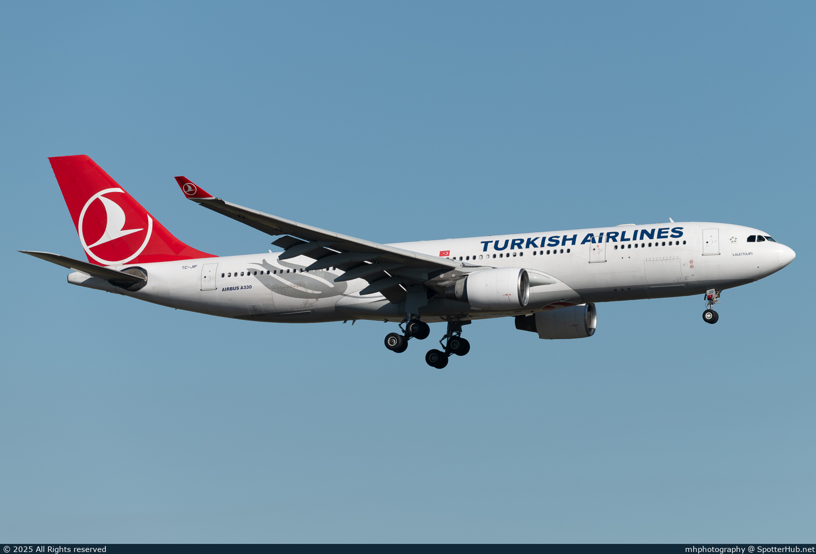 Photo of TC-JIP - Airbus A330-223 operated by Turkish Airlines