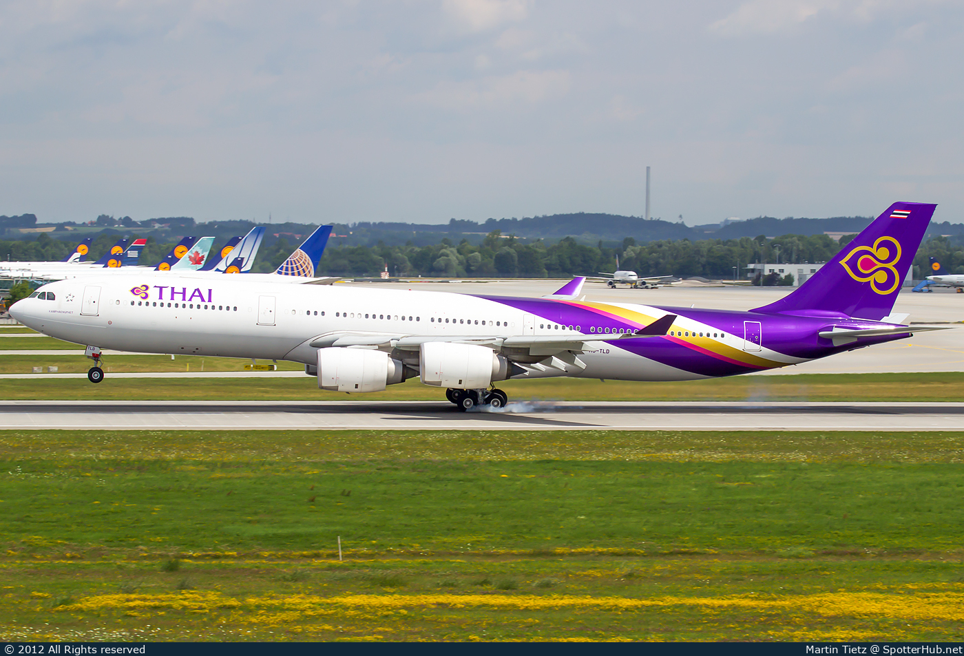 Photo of HS-TLD - Airbus A340-541 operated by Thai Airways International
