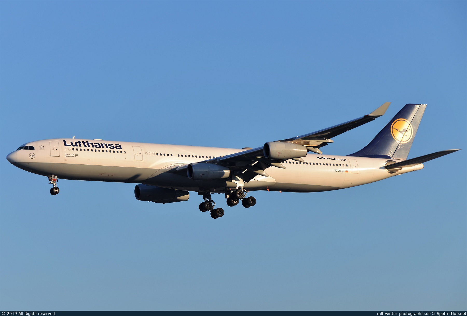 Photo of D-AIGU - Airbus A340-313 operated by Lufthansa