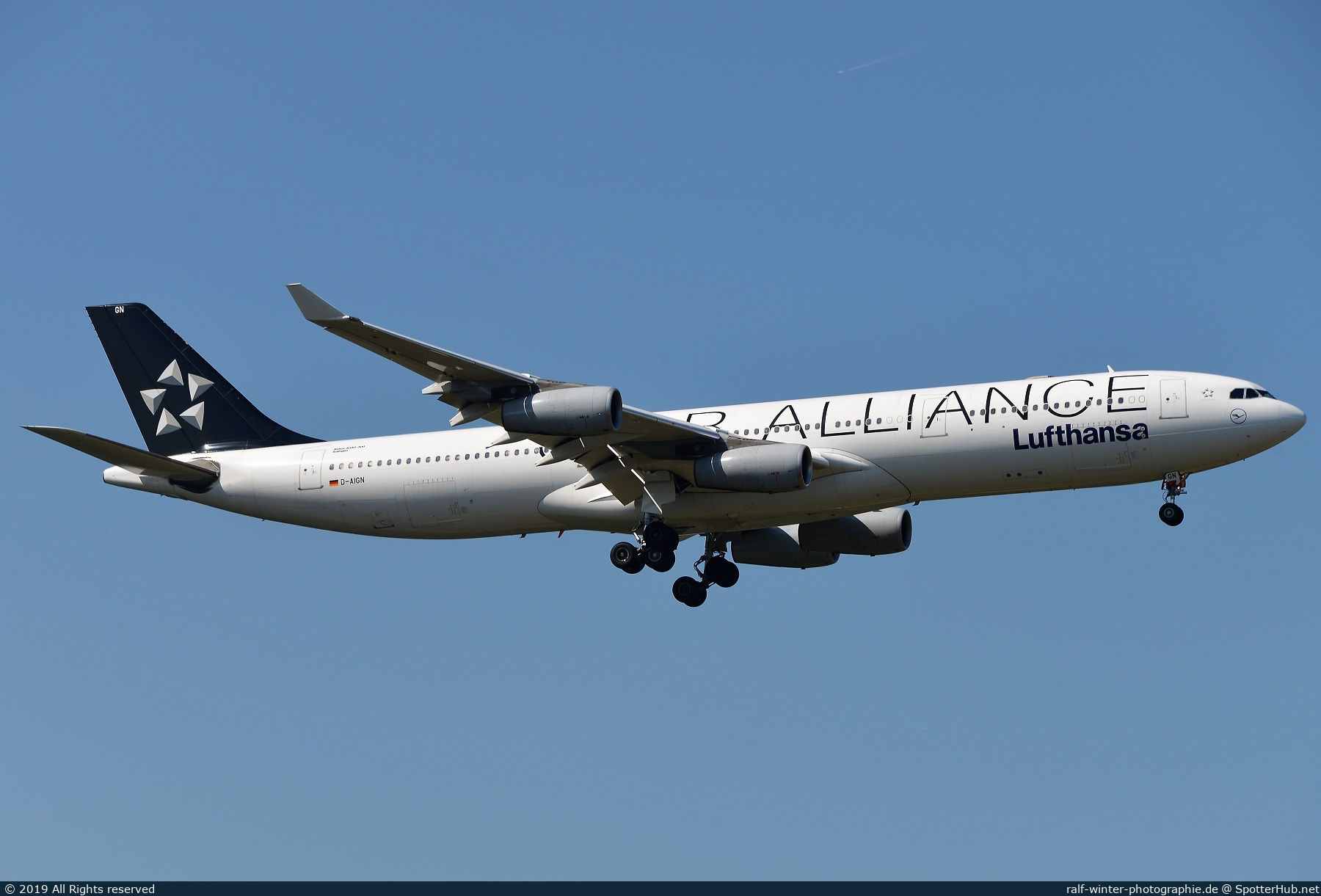 Photo of D-AIGN - Airbus A340-313 operated by Lufthansa