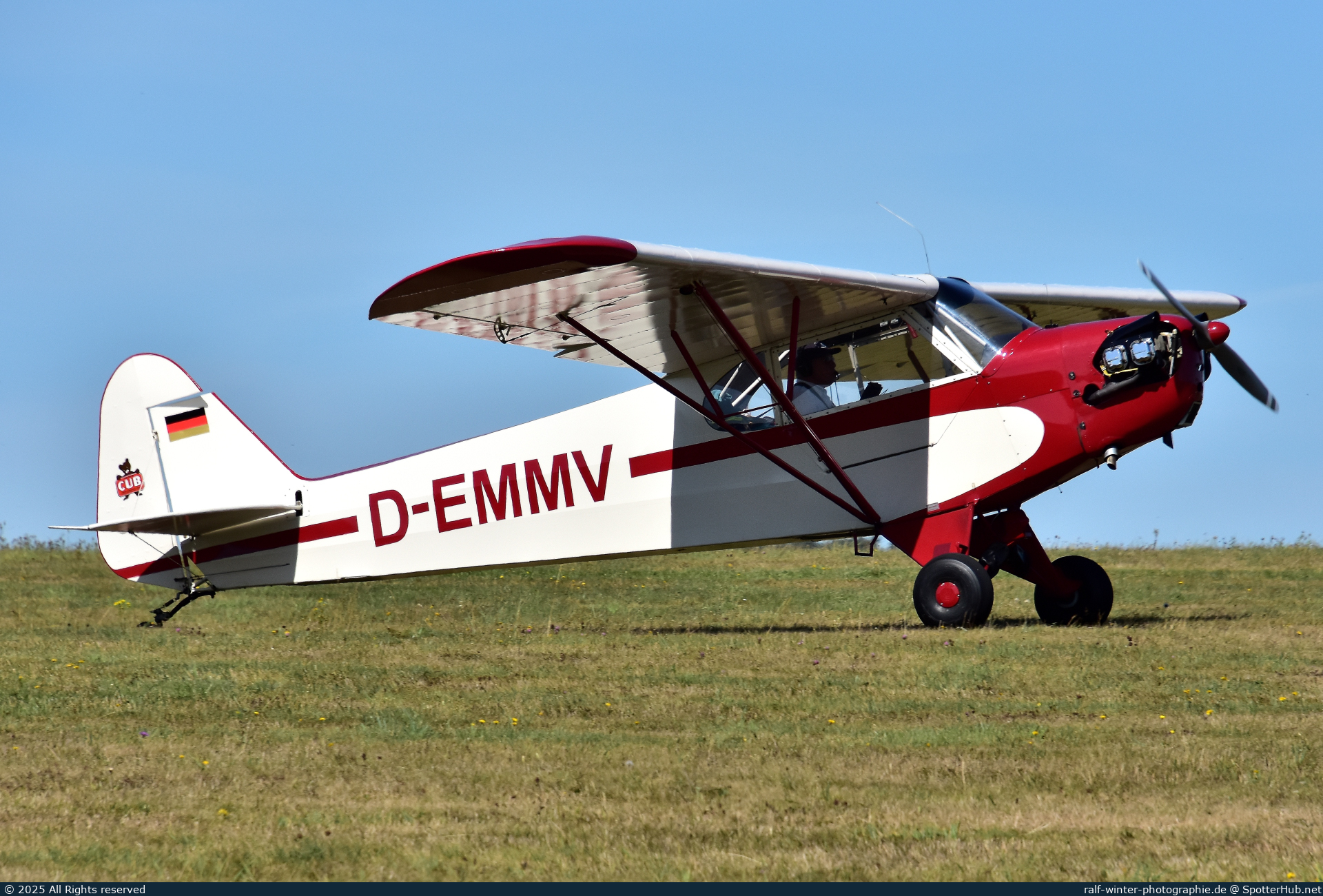 Photo of D-EMMV - Piper J-3C-65 Cub operated by Private