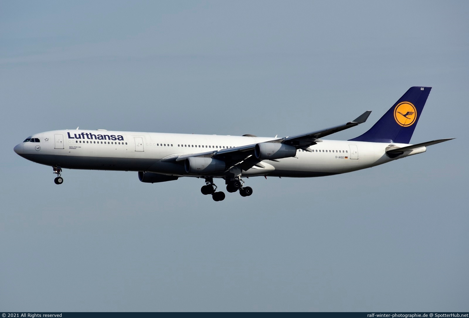 Photo of D-AIGO - Airbus A340-313 operated by Lufthansa