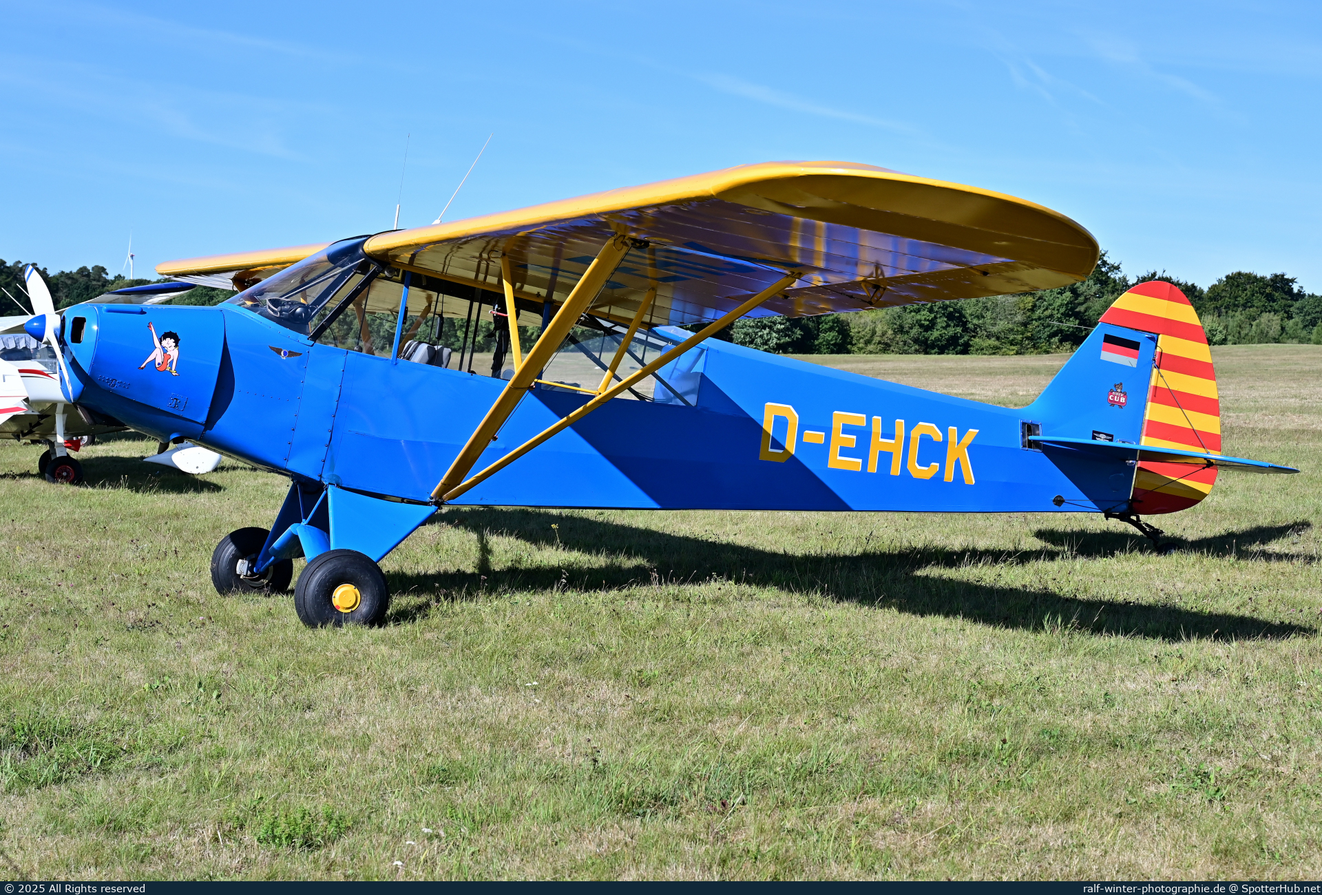 Photo of D-EHCK - Piper PA-18-95 Super Cub operated by Private