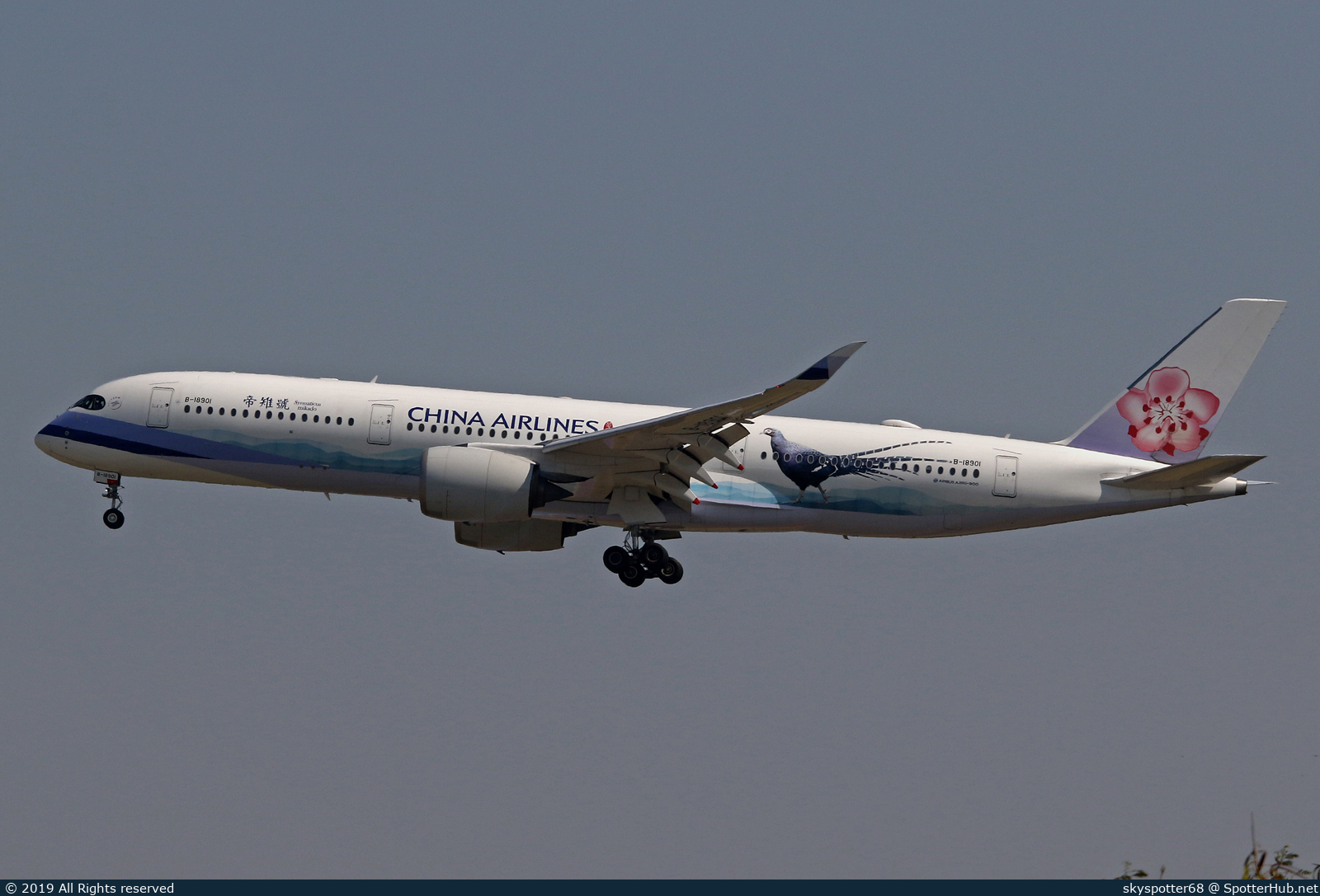 Photo of B-18901 - Airbus A350-941 operated by China Airlines
