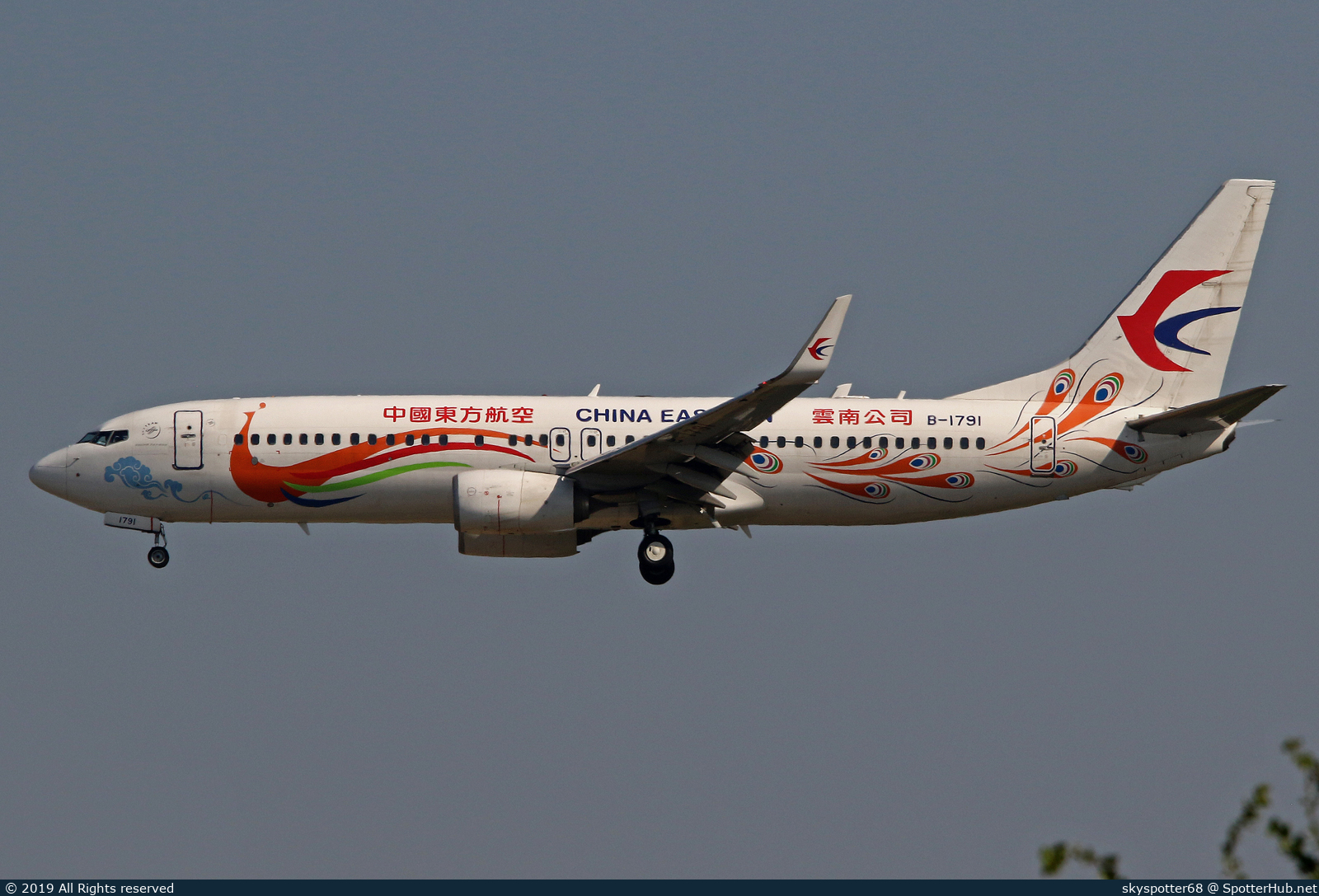Photo of B-1791 - Boeing 737-89P operated by China Eastern Airlines