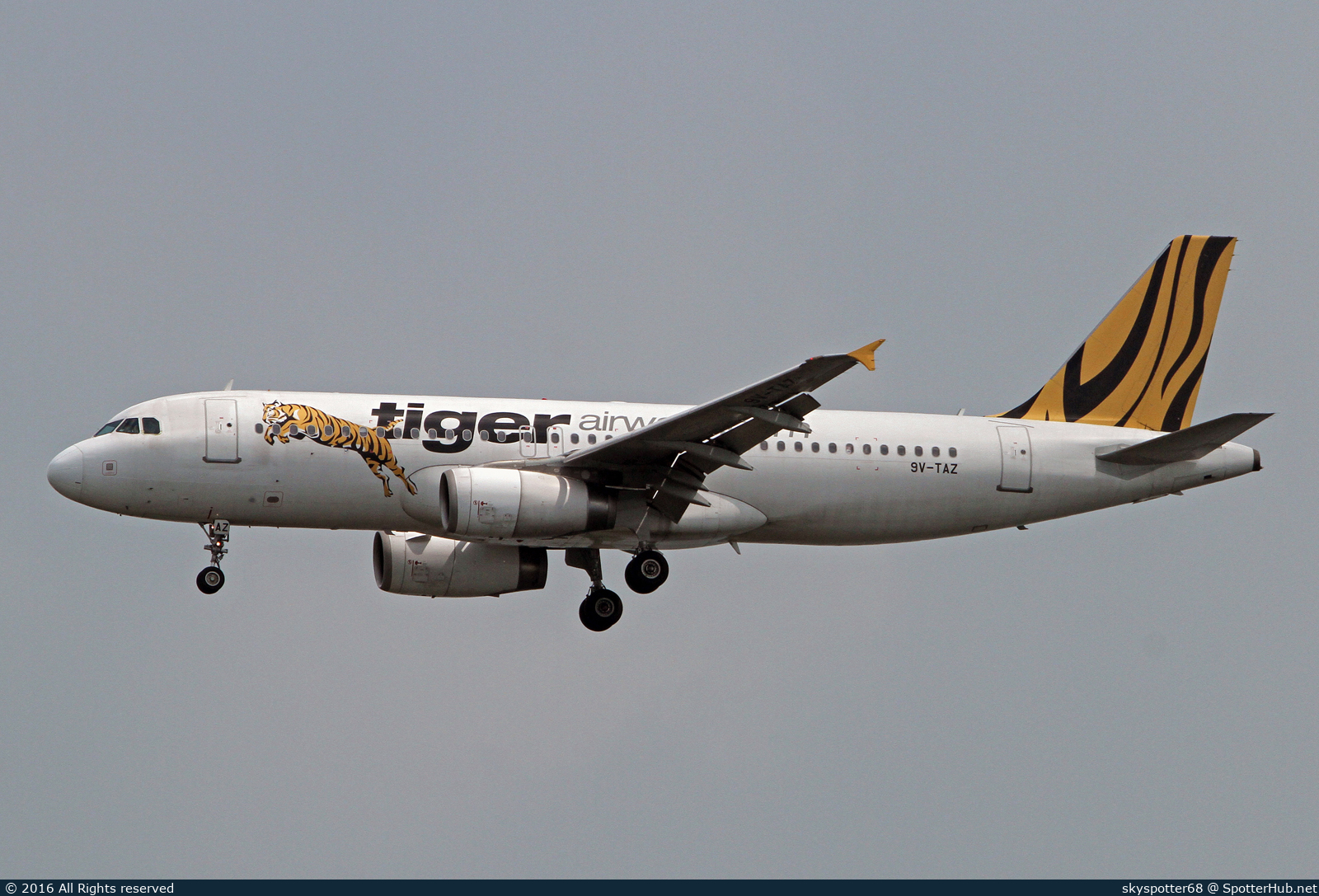 Photo of 9V-TAZ - Airbus A320-232 operated by Tiger Airways