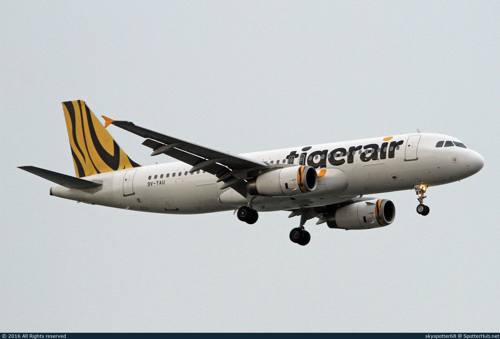 Photo of 9V-TAU - Airbus A320-232 operated by Tigerair
