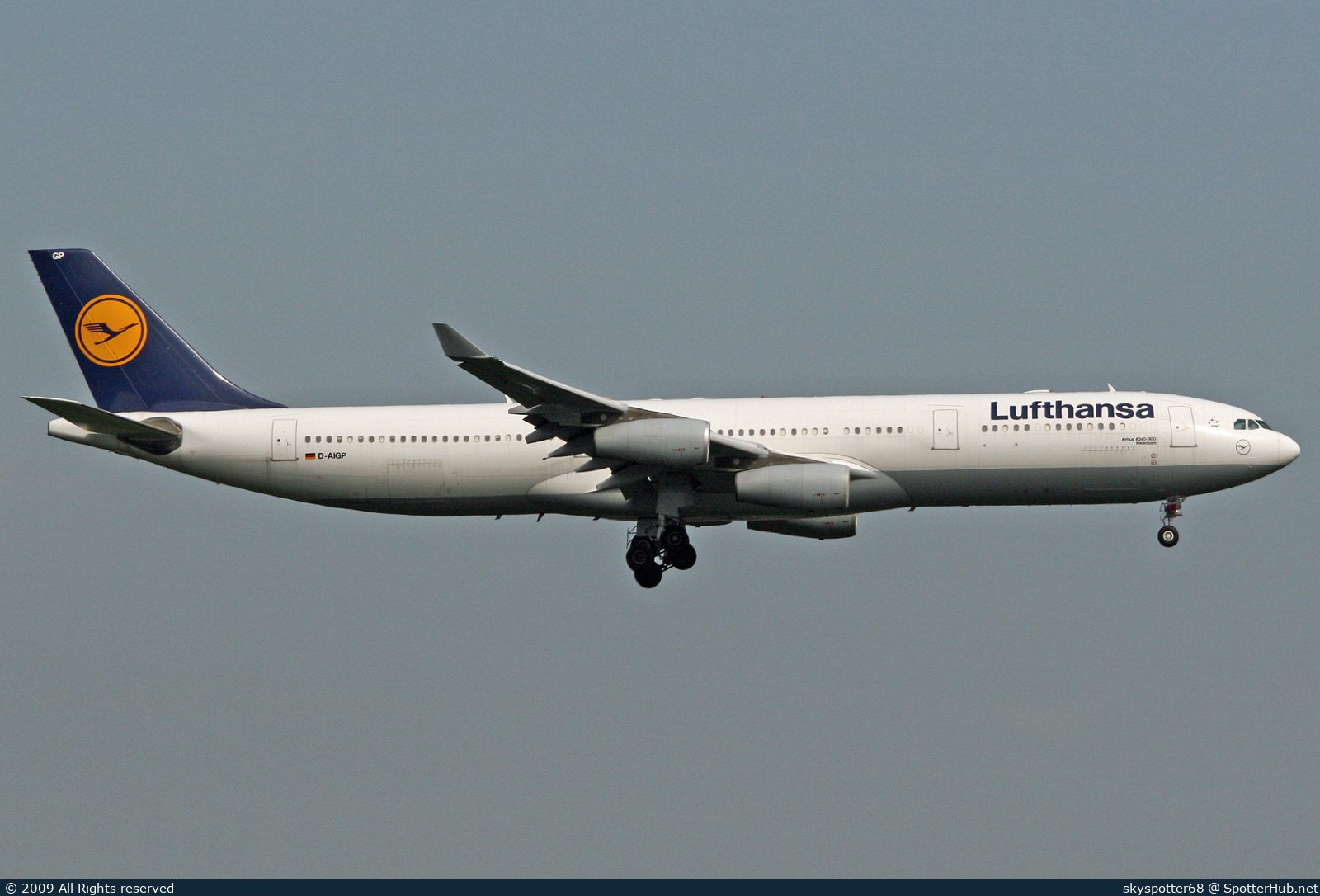 Photo of D-AIGP - Airbus A340-313 operated by Lufthansa