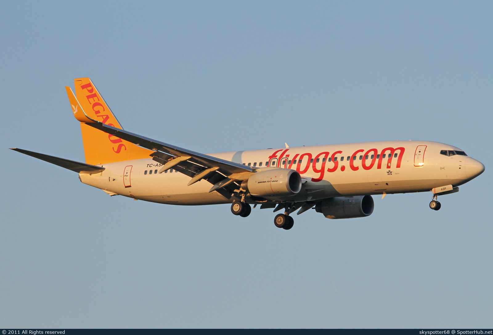 Photo of TC-ASP - Boeing 737-82R operated by Pegasus Airlines