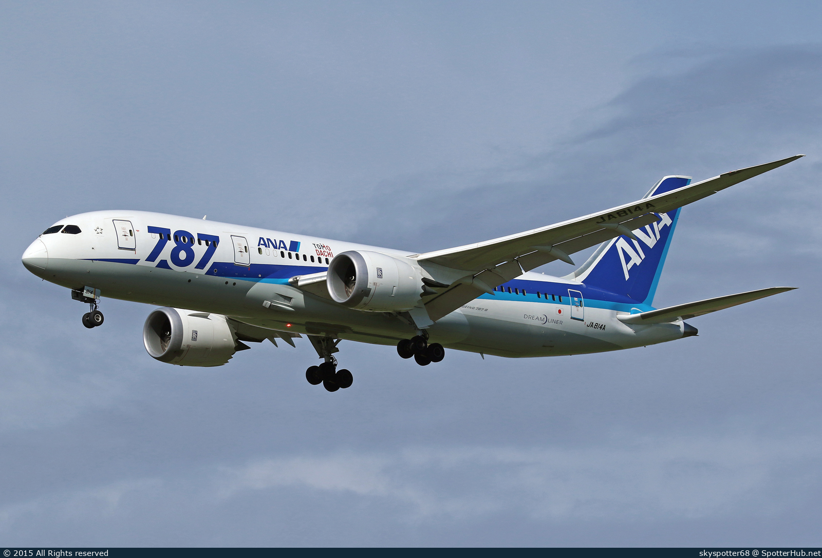 Photo of JA814A - Boeing 787-8 Dreamliner operated by ANA All Nippon Airways