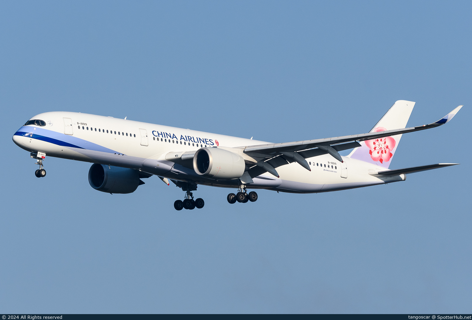 Photo of B-18919 - Airbus A350-941 operated by China Airlines