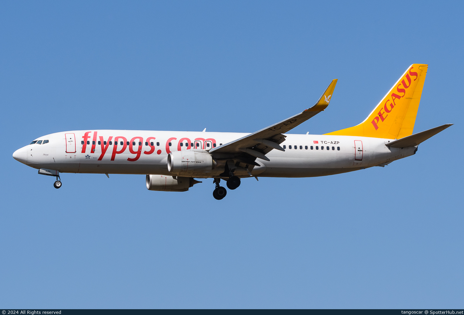 Photo of TC-AZP - Boeing 737-82R operated by Pegasus Airlines
