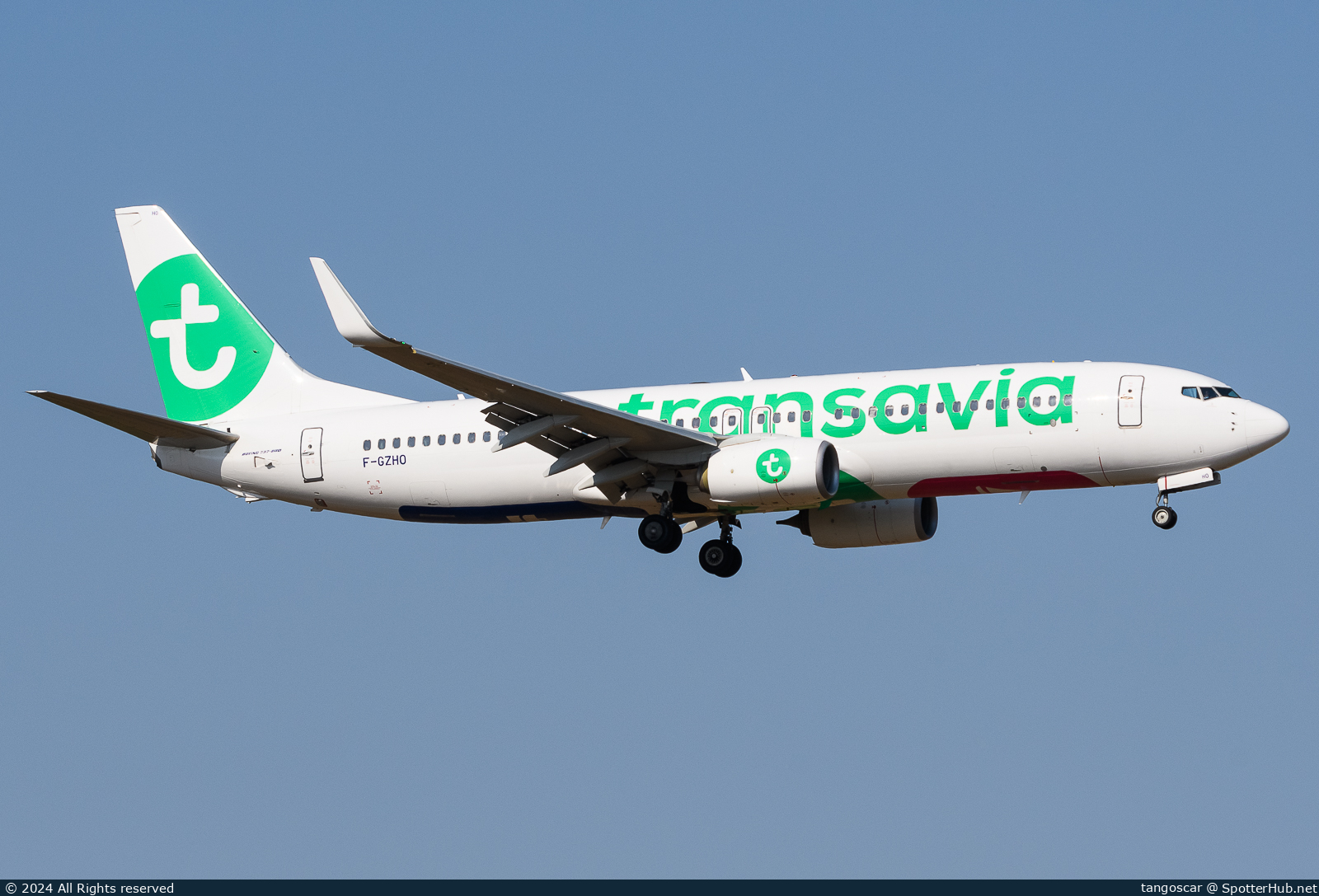 Photo of F-GZHO - Boeing 737-8K2 operated by Transavia France