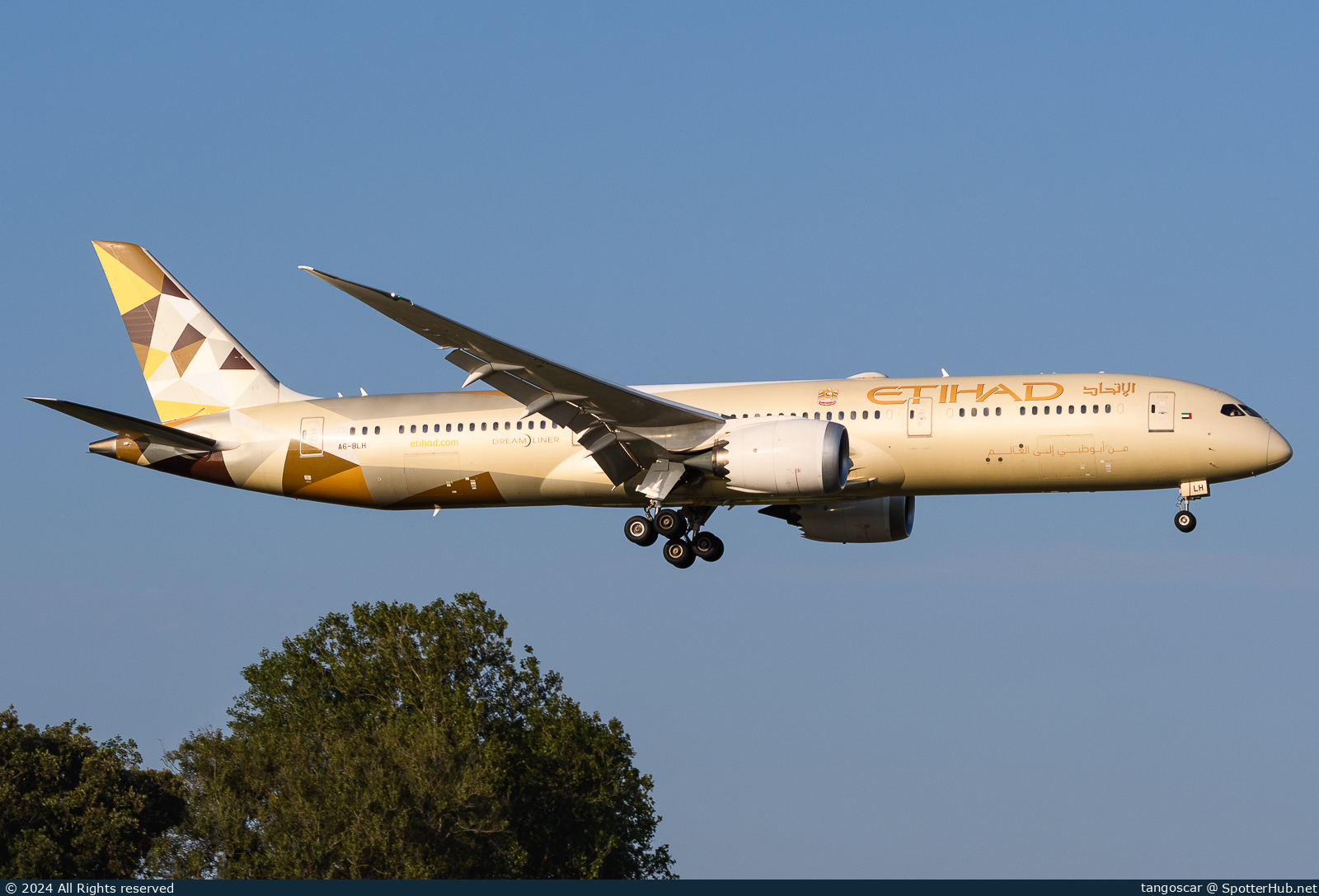 Photo of A6-BLH - Boeing 787-9 Dreamliner operated by Etihad Airways