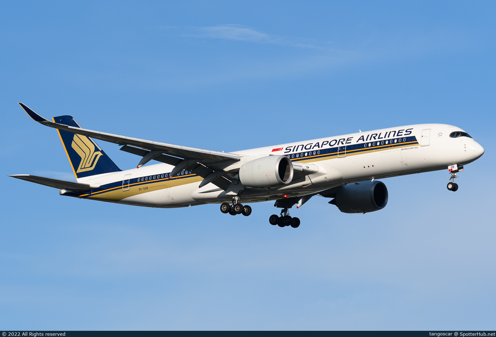 Full size image