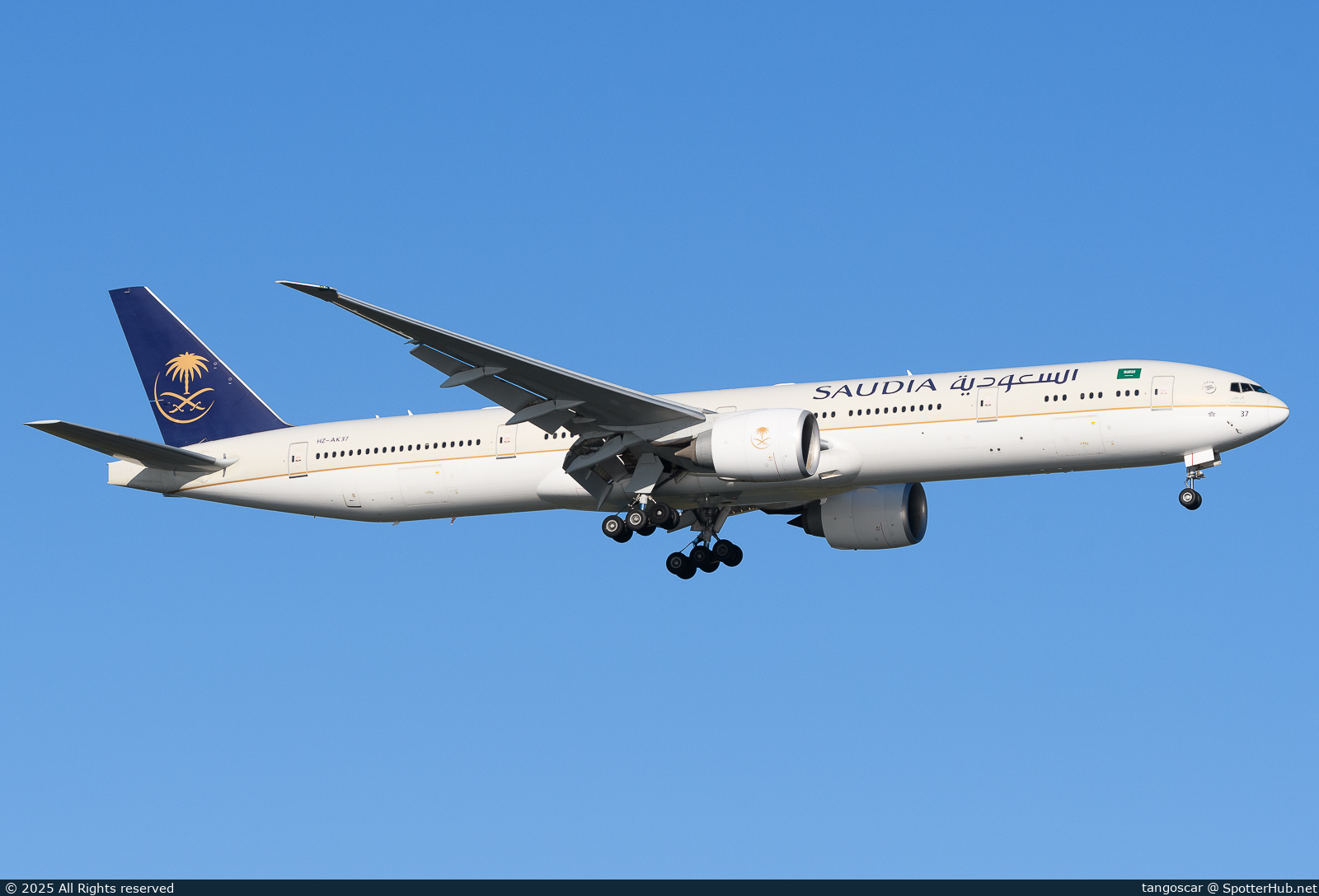 Full size image