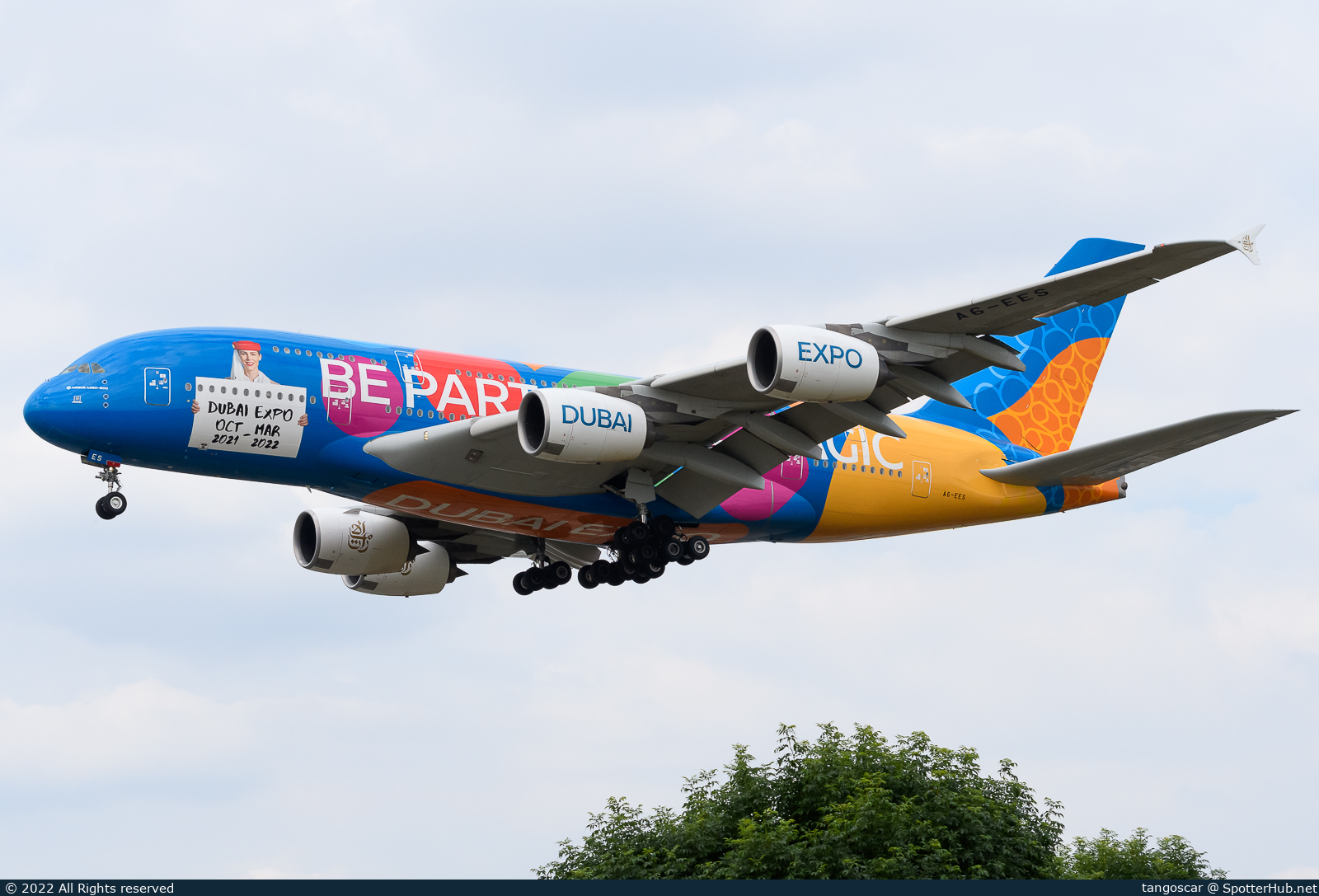 Full size image