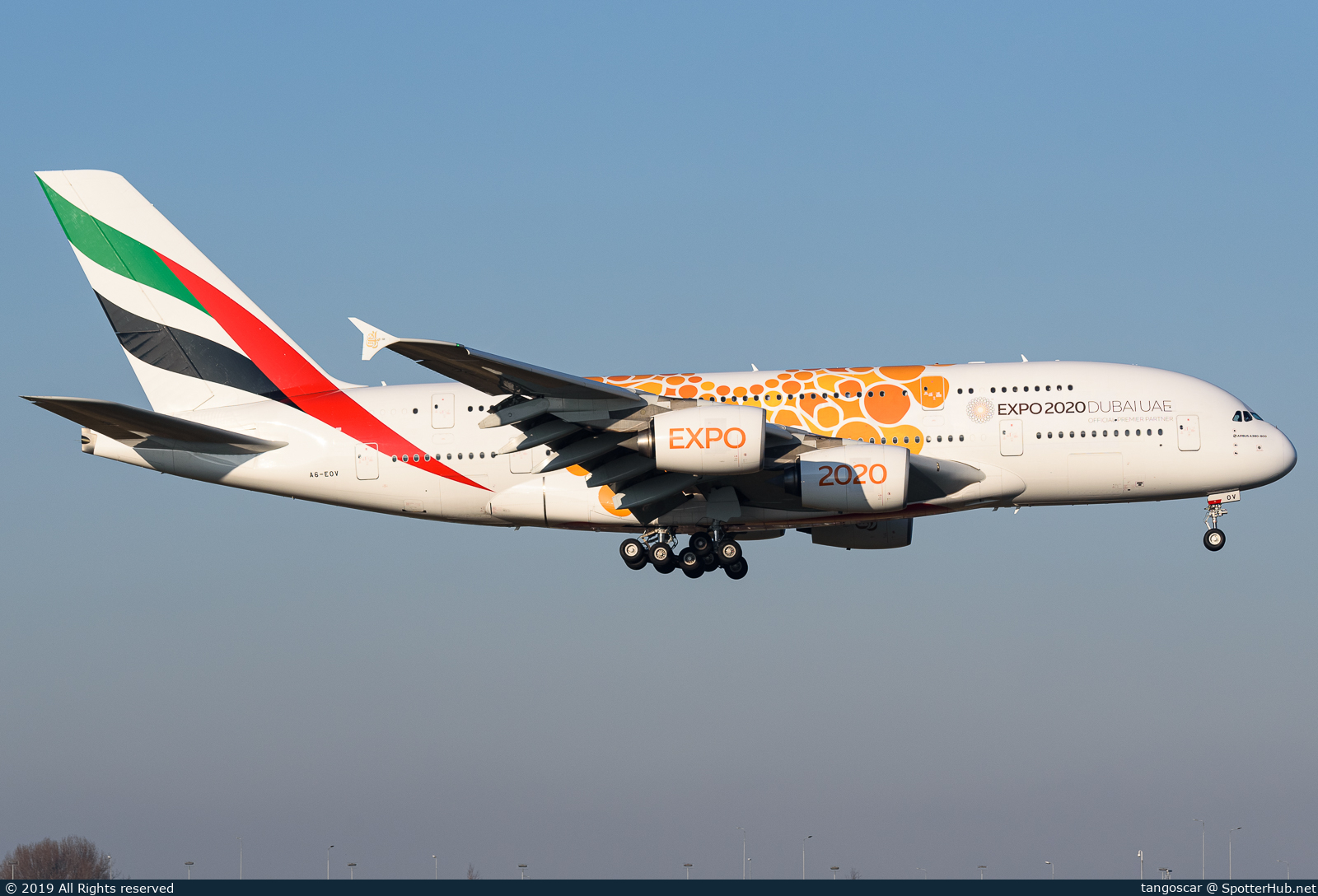 Full size image