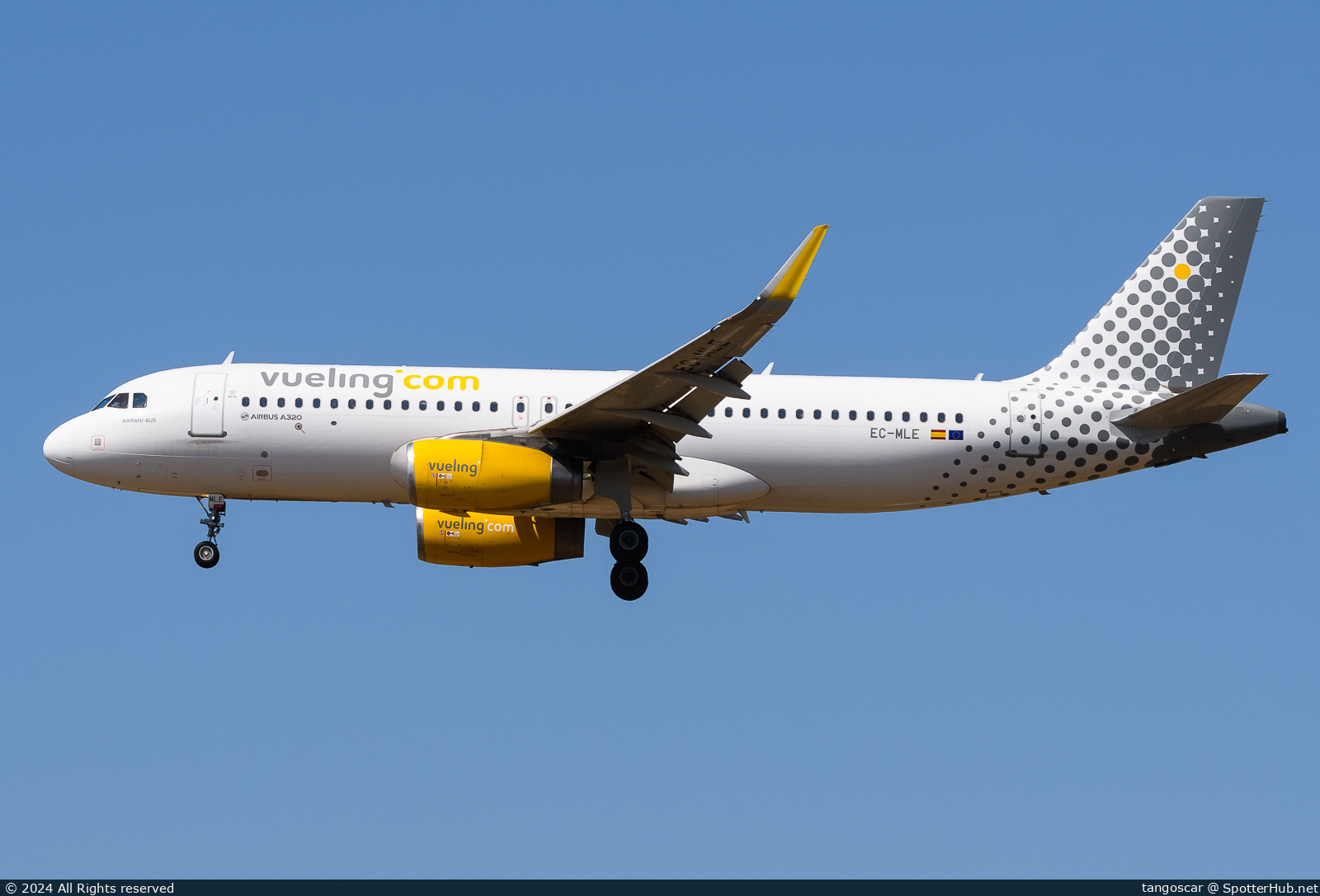 Photo of EC-MLE - Airbus A320-232 operated by Vueling
