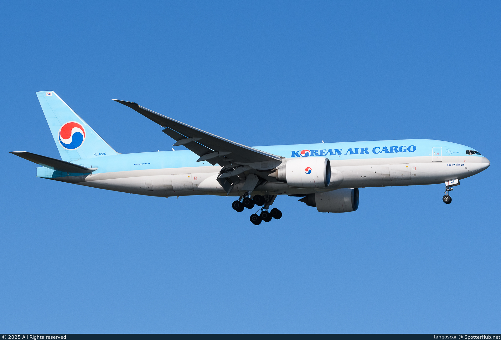 Full size image