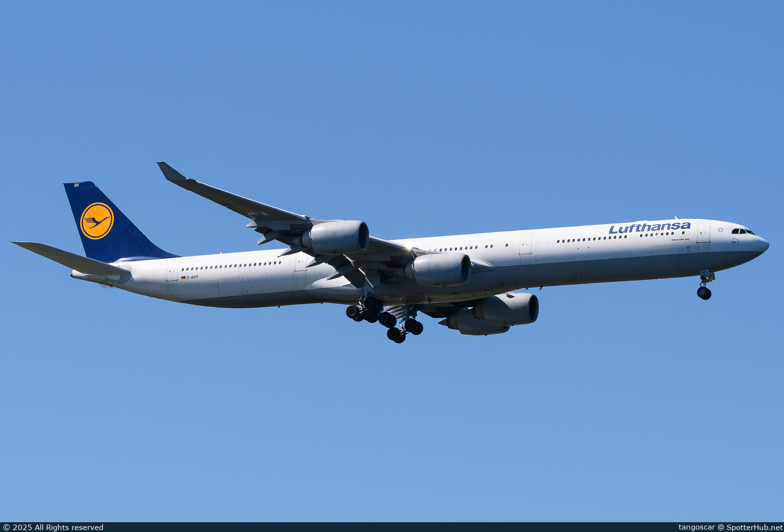 Full size image