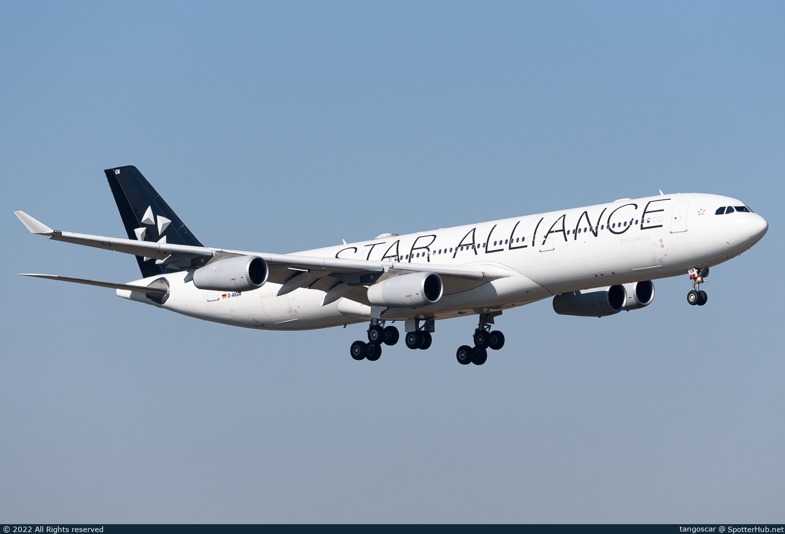 Full size image