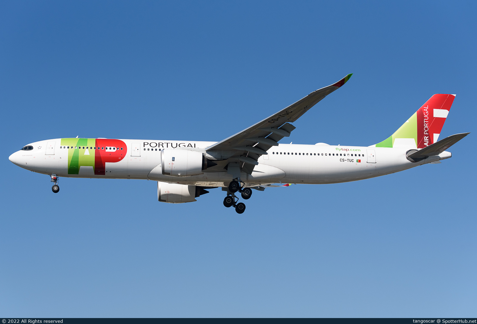 Photo of CS-TUC - Airbus A330-941 operated by TAP Air Portugal