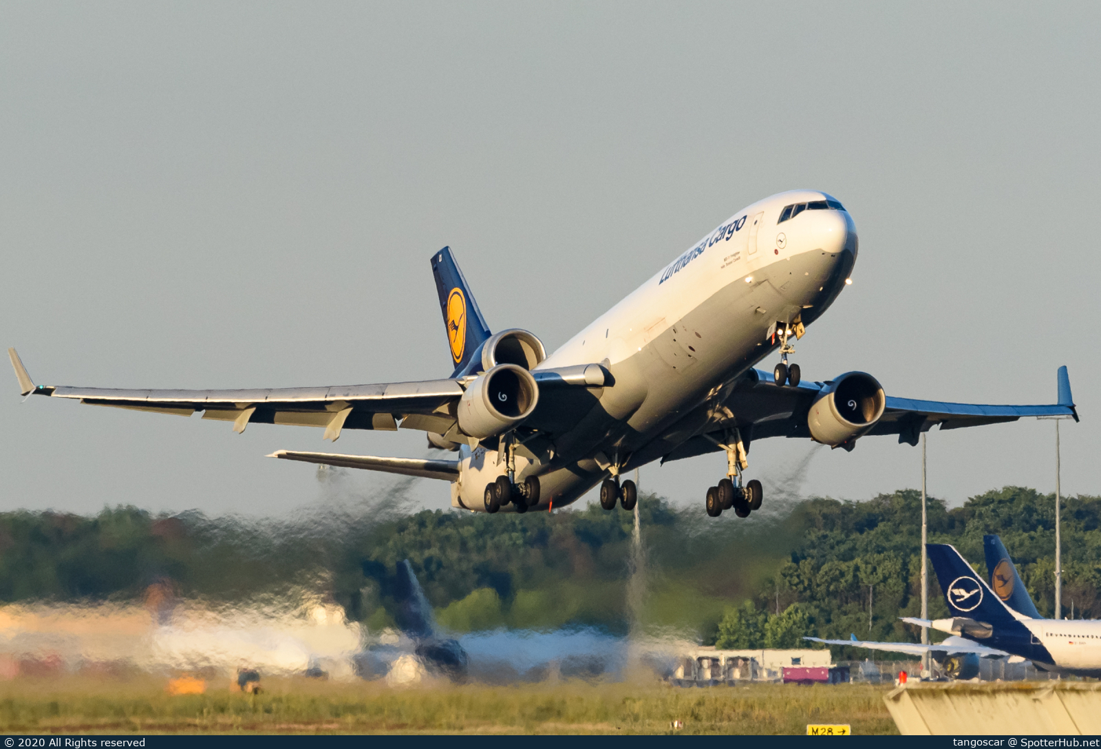 Photo of D-ALCI - McDonnell Douglas MD-11(F) operated by Lufthansa Cargo