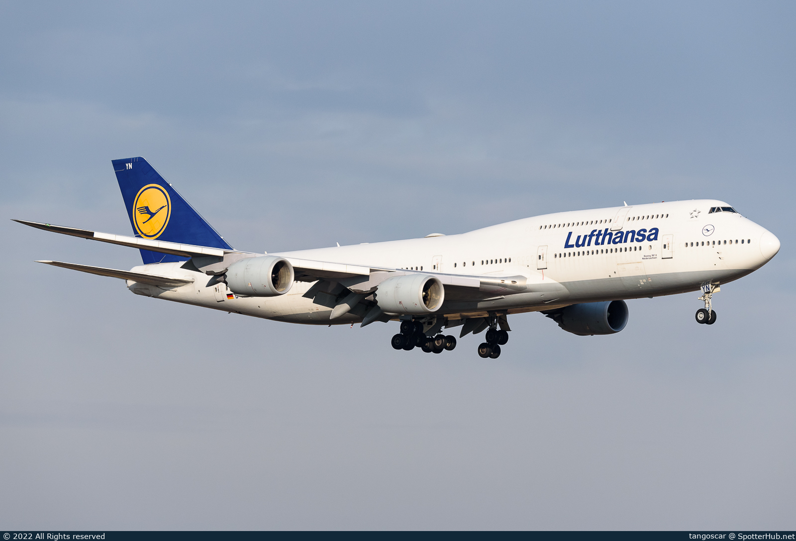 Photo of D-ABYN - Boeing 747-830 operated by Lufthansa
