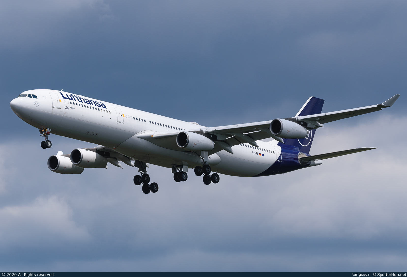 Photo of D-AIFD - Airbus A340-313 operated by Lufthansa